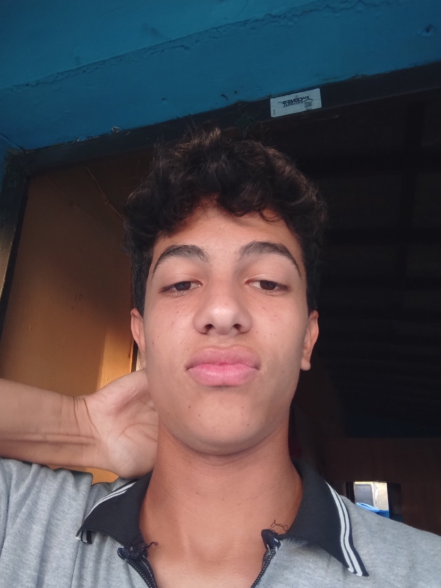 A young male with curly brown hair and light brown skin is captured in a close-up, head-and-shoulders selfie. He is wearing a grey t-shirt with a black collar that has white stripes. His left arm is bent, with his hand resting on the back of his neck. The background suggests an interior setting with a brown wooden door or wall on the left and a dark background on the right. A blue ceiling is visible at the top of the frame, with a small white sticker bearing text and a barcode attached to a dark horizontal beam. The lighting indicates daylight, casting shadows and highlighting the subject's features. This scene is located in Santa Ana, Venezuela.