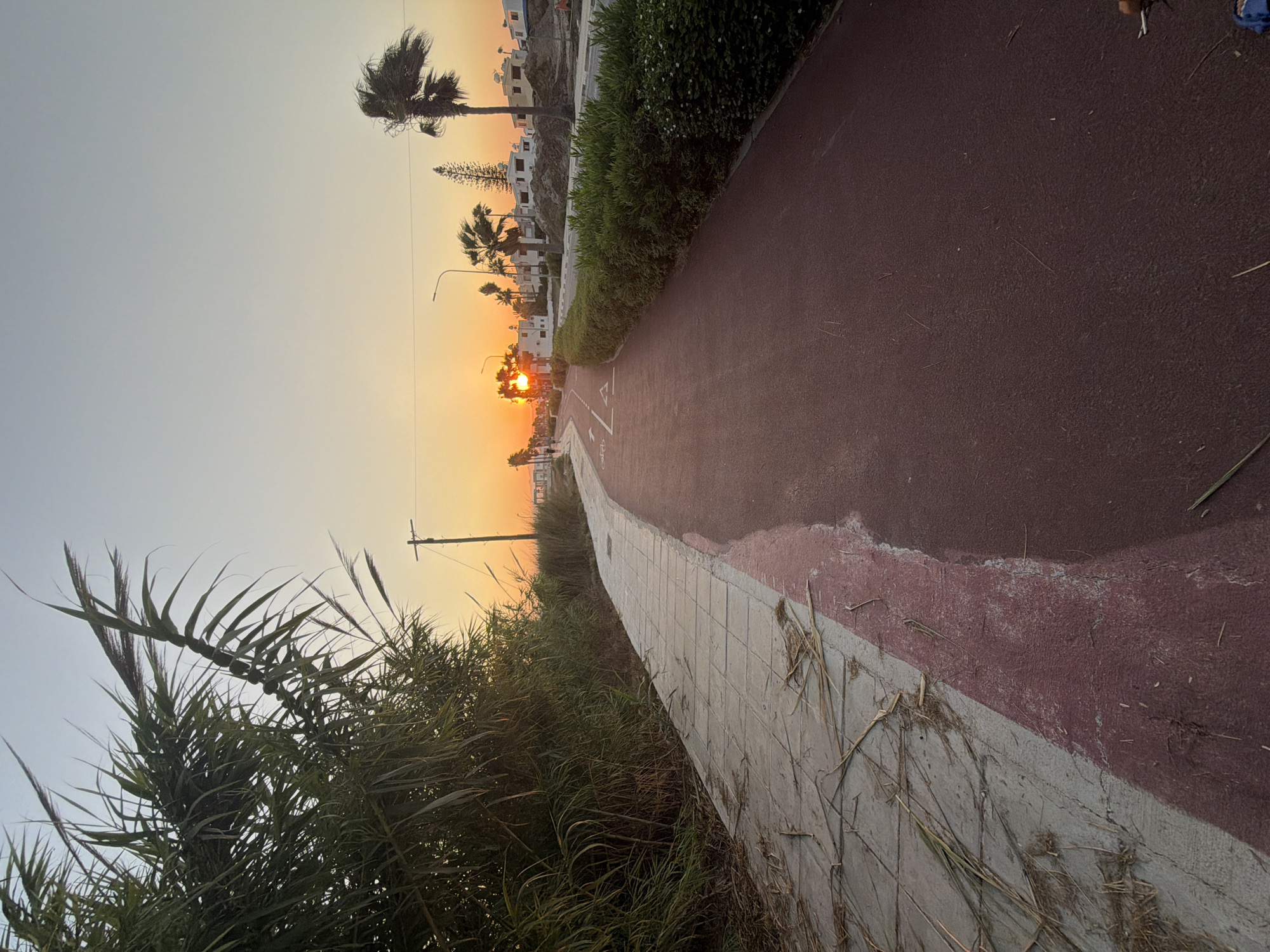 An outdoor, low-angle, eye-level shot captures a paved pathway bordering a vibrant green hedge under a soft, orange-tinted sky at dusk. The pathway itself is divided into two distinct sections: the left side is paved with light-colored square tiles covered in scattered dry grass and leaves, and the right side is a smooth, maroon asphalt surface. The pathway gently curves to the right, leading the viewer's eye towards the horizon where the sun is setting behind a cluster of modern, white buildings. Several palm trees dot the landscape, their fronds swaying in the wind. A single utility pole stands near the pathway on the left, with wires extending across the scene. Construction work is evident in the background, with piles of dirt and partially constructed buildings suggesting ongoing development. Two figures, appearing as silhouettes, walk along the pathway in the distance. The scene is located in Meneou, Cyprus, a coastal town known for its proximity to the salt lake and its emerging tourist infrastructure.