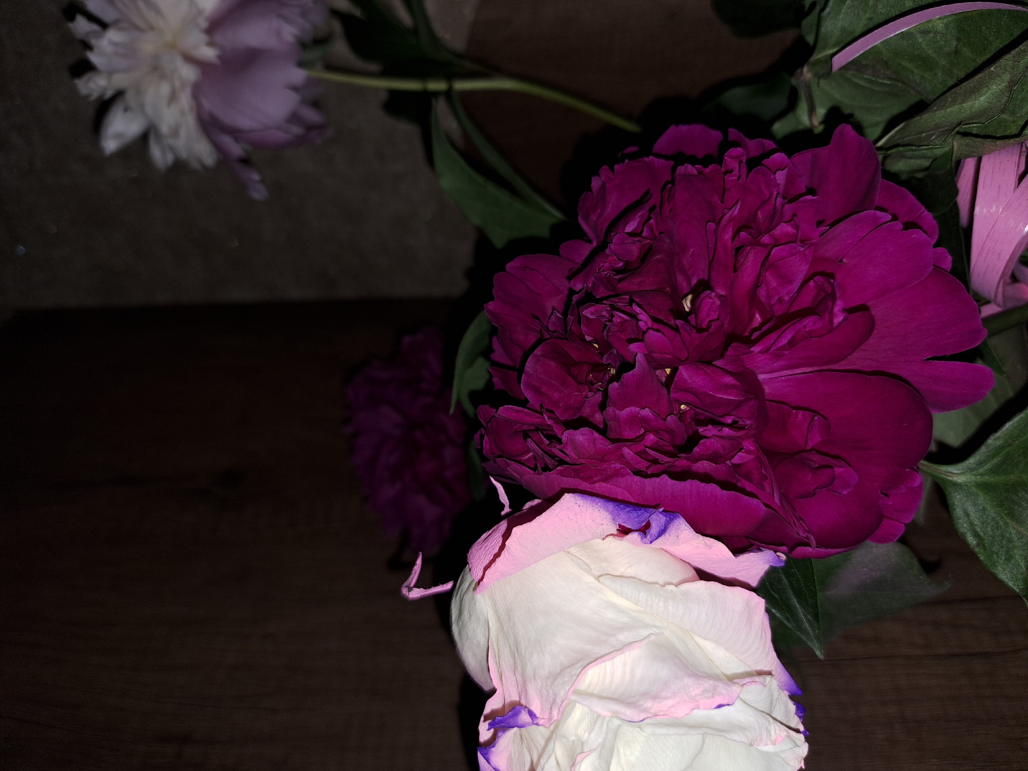 A close-up, dimly lit still life captures a cluster of flowers, primarily featuring a large, vibrant dark magenta or deep purple flower, likely a peony, prominently positioned on the right side of the frame. Its numerous, densely packed petals show intricate texture and detail.
Below and slightly to the left of this main bloom, a white or very pale pink flower is partially visible, distinguished by its delicate petals that are subtly edged with a light purple hue. Another dark purple flower appears blurred in the mid-left background. In the upper-left, a light-colored flower, predominantly white with hints of purple, is out of focus, contributing to the depth of field.
Several dark green leaves and stems are interspersed among the flowers, particularly noticeable around the main dark purple bloom. A segment of a light pink, possibly plastic, ribbon or decorative strip is visible behind the main purple flower in the upper right. The flowers are arranged on a dark, possibly wooden, surface that shows a subtle grain. The background is uniformly dark and indistinct, creating an intimate atmosphere that highlights the colorful blooms. The lighting is soft and subdued, suggesting an indoor setting or a low-light environment. No text is visible in the image.