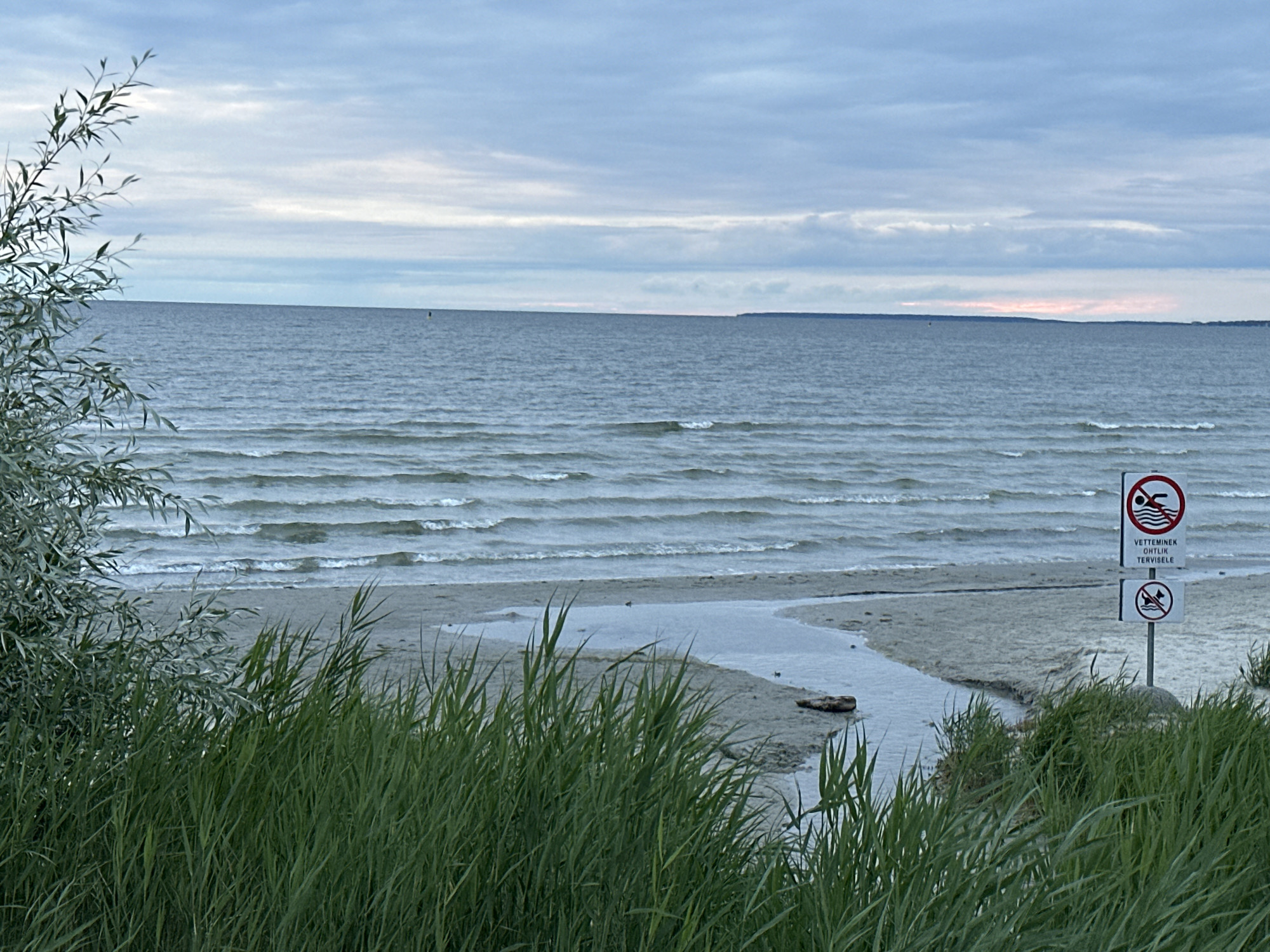 This media file depicts a serene, overcast day at a beach in Tallinn, Estonia. The scene is dominated by the calm, rippling waters of the sea under a cloudy sky. In the foreground, tall, green reeds sway gently, framing a sandy beach with a small stream meandering towards the water. A piece of driftwood rests on the sand near the stream's mouth.
On the right side of the image, two signs are prominently displayed on a pole. The top sign features a red circle with a diagonal line through it, superimposed over a pictogram of a person swimming, indicating that swimming is prohibited. Below this, text reads "VETTEMINEK OHTLIK TERVISELE," which translates from Estonian to "Taking water is dangerous to health." The lower sign shows a red circle with a diagonal line over a pictogram of a boat, signaling that boating is not allowed.
The time of day appears to be late afternoon or early evening, given the soft, diffused light and the muted colors of the sky, which hint at a possible sunset on the horizon. The overall mood is peaceful and tranquil, with a sense of natural beauty despite the overcast weather. There are no people visible in the image. The presence of the signs suggests this is a designated area with specific safety regulations.