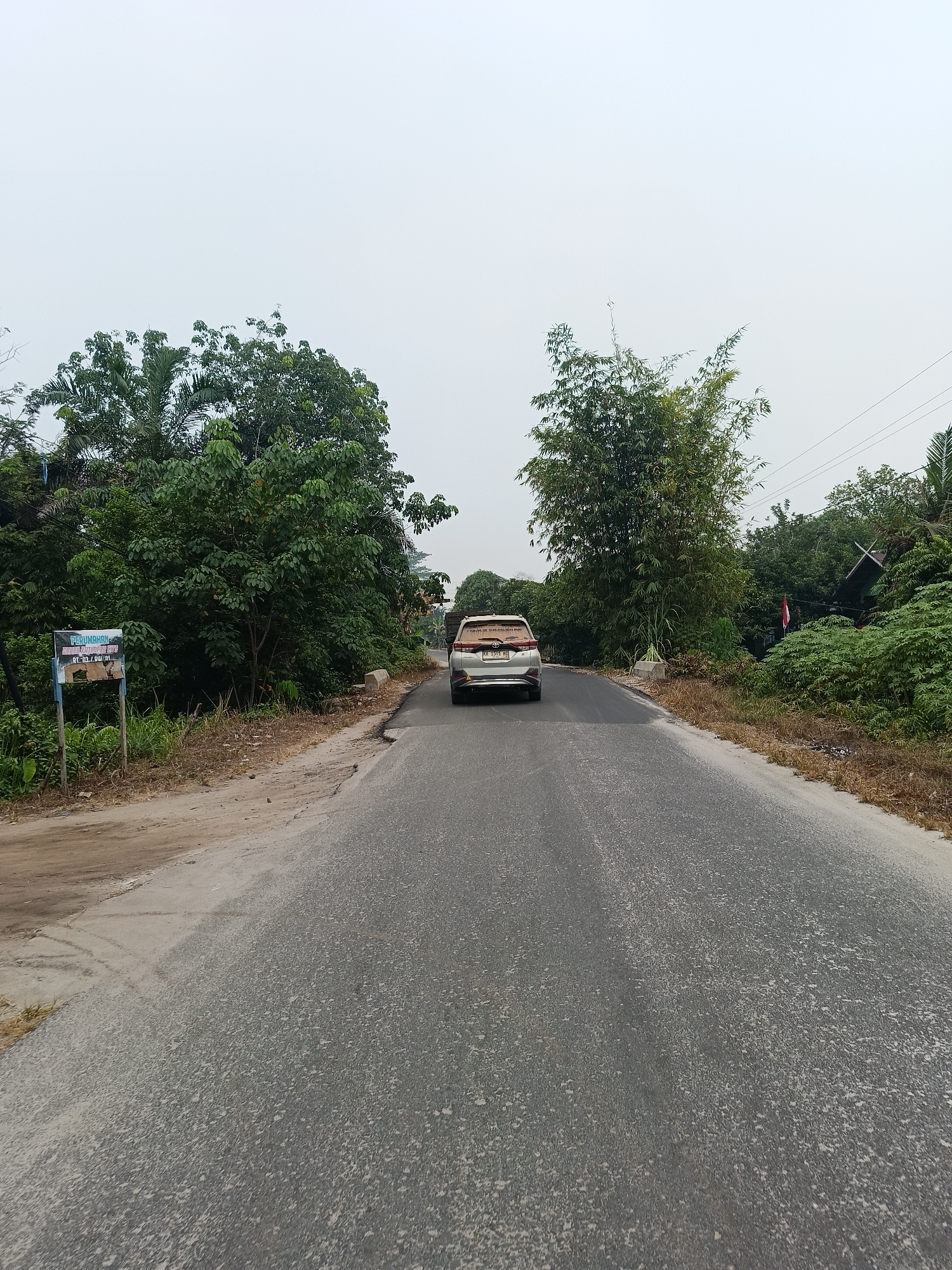 The image depicts a paved road in a rural or suburban area, likely in Palangka Raya, Indonesia, given the vegetation and architectural styles. The road surface is gray asphalt, appearing somewhat weathered and dusty. On the left side of the road, a dirt shoulder is visible, bordered by dry grass and a signpost with Indonesian text. The sign appears to be an informational or directional marker.
Dominating the scene are lush green trees and bamboo on either side of the road, creating a naturalistic setting. The trees are dense and varied, with some appearing to be palm trees and others deciduous. In the distance, a silver-colored minivan is traveling away from the camera. The vehicle has its license plate visible, which appears to be of Indonesian format. The sky is overcast and a pale gray, suggesting diffused daylight conditions. The overall impression is a quiet, ordinary road scene in a tropical environment.