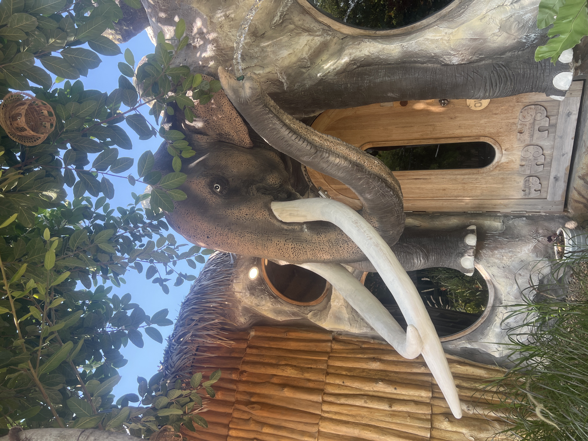 The image shows a close-up view of an elephant-shaped building entrance in Koh Samui, Thailand. The building is designed to resemble an elephant, with its trunk forming an archway over a wooden door. The elephant's tusks are large and white, and its skin is textured to look realistic. The entrance also features a thatched roof and windows shaped like circles. The building is surrounded by lush greenery, with leaves from nearby trees hanging over the scene. In the background, the blue sky is visible. The door itself is made of wood and has carved details of elephants and the word "HAVEN" repeated. A small sign with the word "OUT" is also visible on the door. The overall impression is one of whimsical and imaginative architecture.