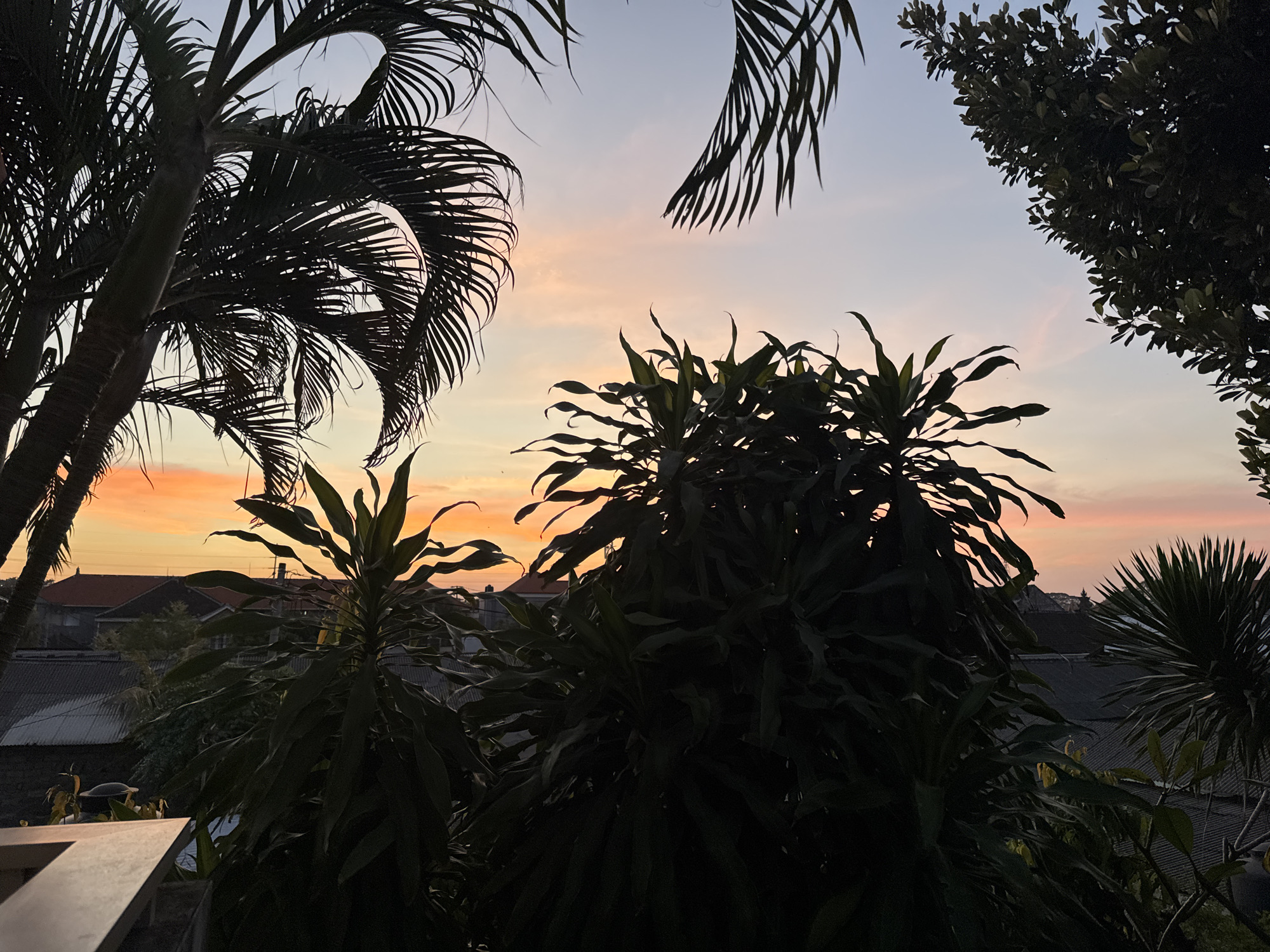 This is a photograph of a sunset over a residential area in Denpasar, Indonesia, viewed from an elevated position, likely a balcony or rooftop. The sky is a gradient of soft orange, pink, and pale blue, with a few wispy clouds. Silhouetted palm fronds frame the upper left and right portions of the image, suggesting a tropical environment. In the foreground and midground, dark silhouettes of lush green foliage obscure the view of the houses below, with only the rooftops, some with corrugated metal or tile, and a few scattered electrical wires visible through the gaps. The buildings appear to be single or two-story structures, typical of urban or suburban Indonesian residential architecture. The lighting suggests it is either dusk or dawn. There are no people or animals visible in the image.