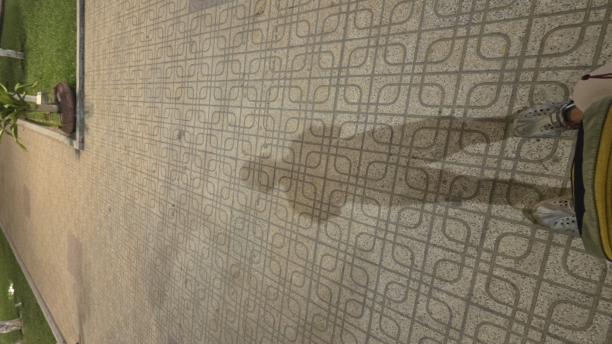 This image, taken in Nha Trang, Vietnam, captures a low-angle, downward view of a patterned pedestrian pathway adjacent to a grassy area. The dominant feature is the elongated shadow of a person, cast sharply across the light-colored, speckled pavement.
The pavement itself is composed of tiles featuring an intricate geometric design, characterized by interlocking rounded squares and straight lines that form a complex lattice pattern. On the far right, the lower part of the person casting the shadow is visible, including feet wearing light grey, Crocs-style sandals with multiple ventilation holes. A section of a casual garment, possibly a jacket or pants, in a yellow or olive-green color with a black stripe, is also seen.
To the left of the paved path, a strip of vibrant green grass provides a natural border. Near the edge of the grass, a dark, round, tire-like object, which might be a planter or a small barrier, is partially visible, along with a green-leafed plant.
The long, distinct shadow indicates that the photograph was taken during either the early morning or late afternoon, when the sun is low in the sky, suggesting clear weather conditions. The scene depicts a tranquil, everyday outdoor setting. No discernible text appears in the image.