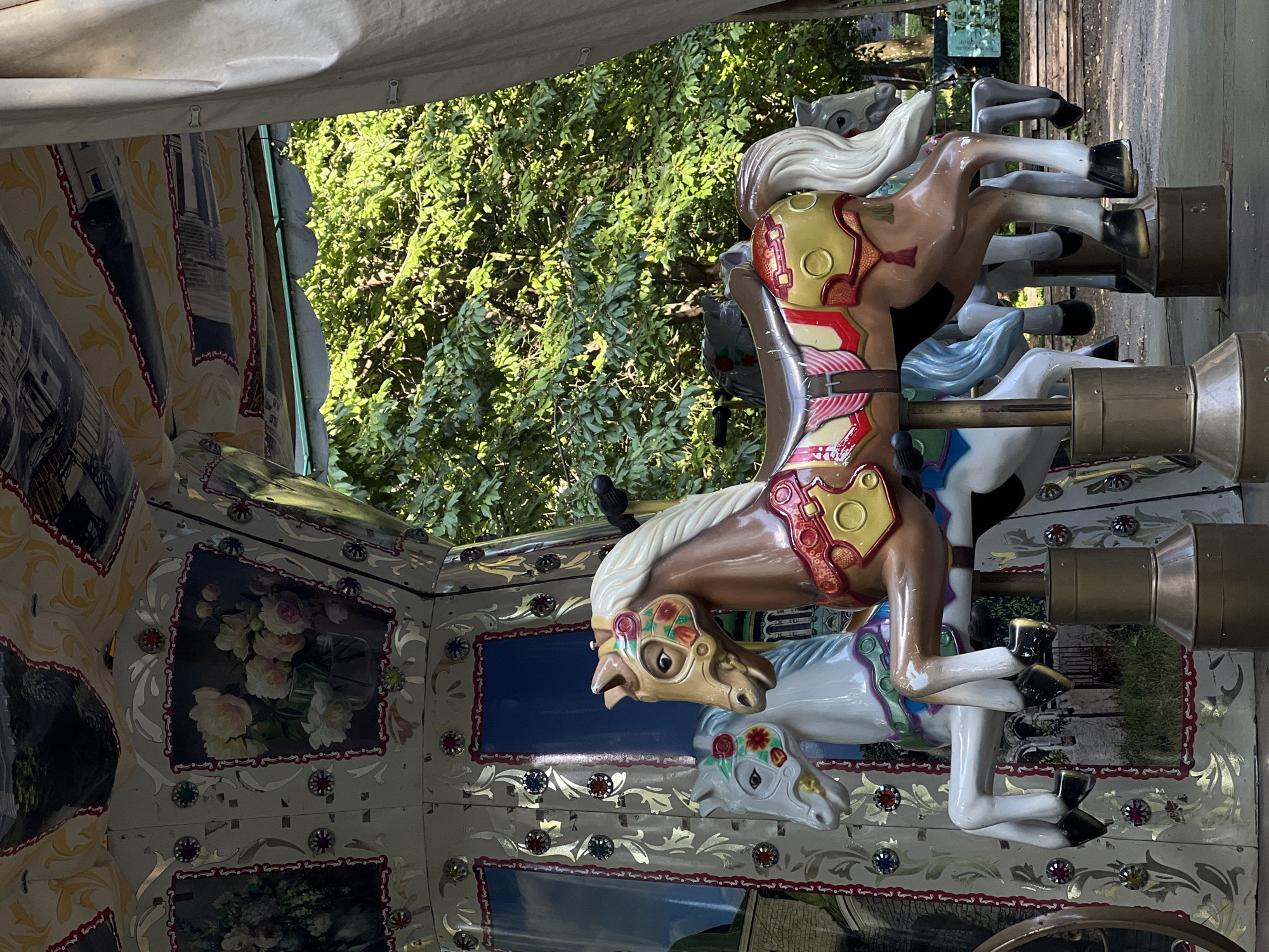 This media file captures a close-up view of a carousel, likely in Ternopil, Ukraine. The primary subjects are several carousel horses, rendered in various colors and decorative harnesses. One horse, in the foreground, is a rich brown with a cream mane and a detailed saddle adorned with gold and red accents. Its head is turned to the side, revealing a painted mask of floral motifs. Behind it, other horses are visible, some white, others grey, also with elaborate tack.
The carousel itself features ornate decorative panels along its sides. These panels display painted scenes, including floral arrangements and what appear to be architectural elements like buildings or pathways. The metalwork of the carousel, including the poles and decorative cups, is visible, suggesting a classic, perhaps vintage, design.
The setting is outdoors, with lush green foliage visible in the background, indicating a sunny day with pleasant weather. The dappled sunlight filtering through the leaves suggests it might be late morning or early afternoon. The overall impression is one of a cheerful, possibly nostalgic, amusement park or fairground atmosphere. There is no visible text in the image. The focus is on the artistry and craftsmanship of the carousel and its horses.