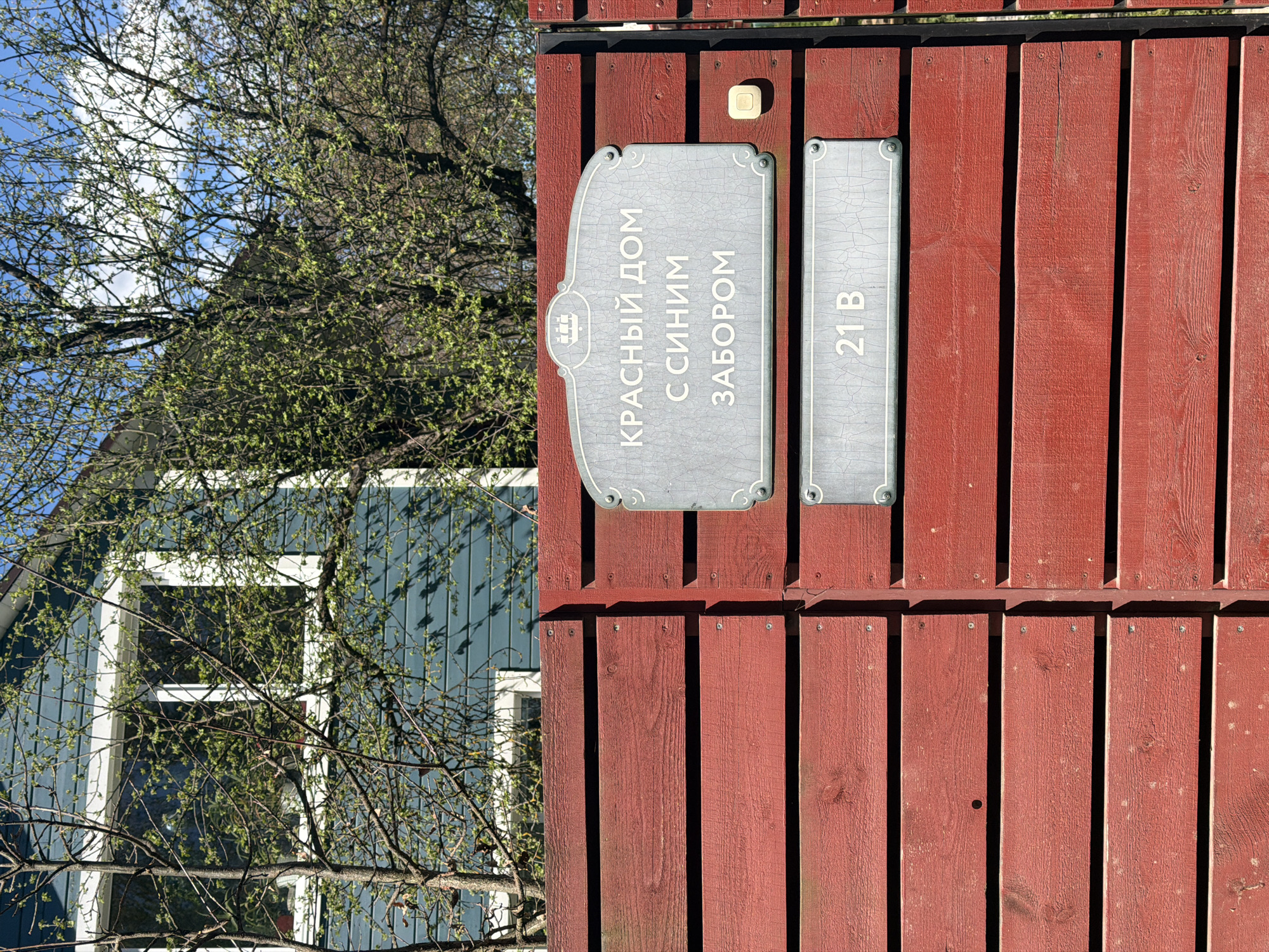 A close-up shows a red wooden fence with two gray plaques. The plaque on the left reads "Красный дом с синим забором", which translates to "Red house with a blue fence". The plaque on the right reads "21 B". A glimpse of a blue wooden house is visible behind the fence and a partially visible tree, suggests the season is spring. The image was taken in Янино-2, Russia.