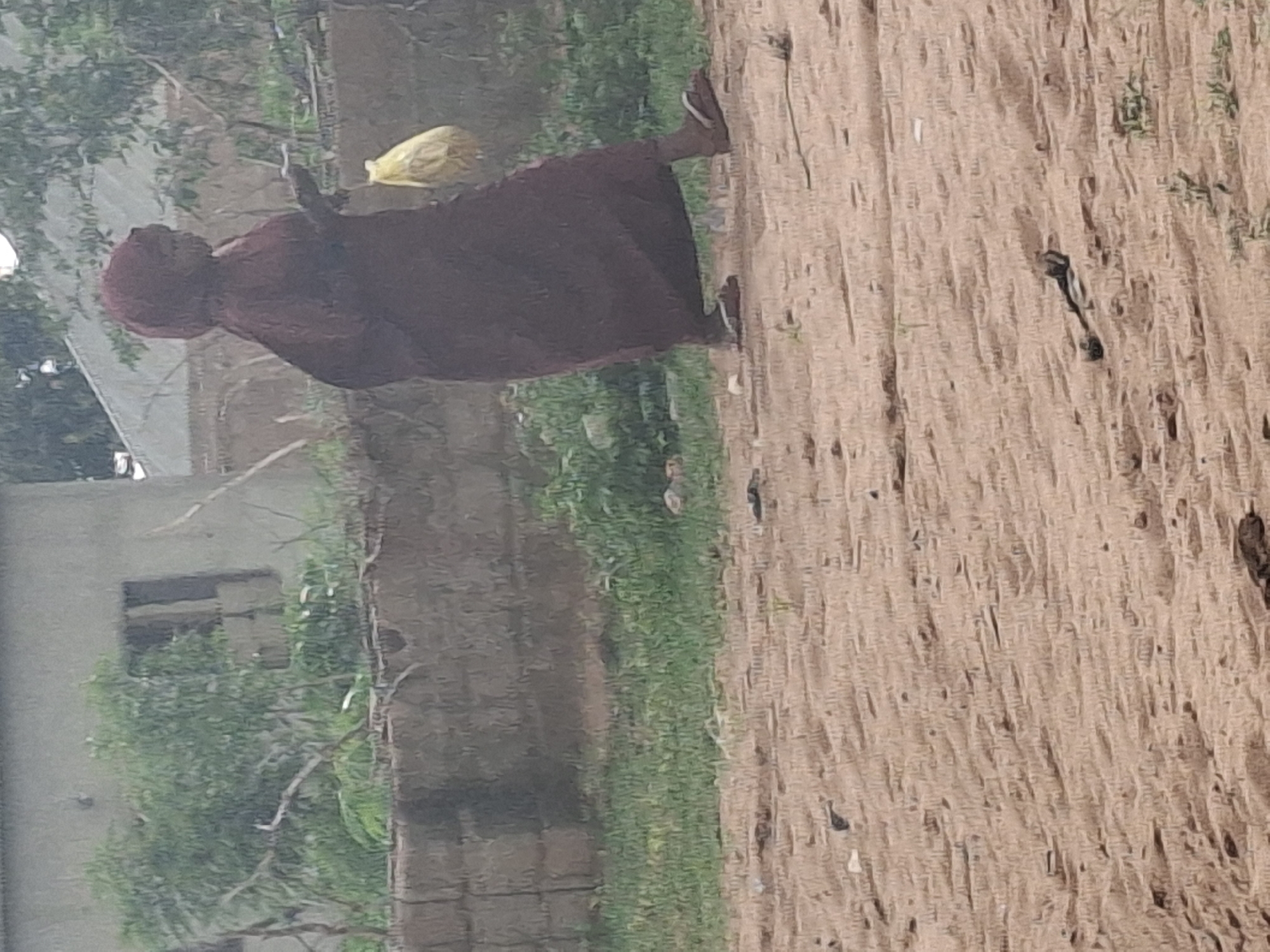 A person is walking on a sandy path in front of a low brick wall in Tumfure, Nigeria. The person is wearing a dark maroon robe and head covering. They are carrying a yellow bag in their right hand and holding a phone in their left hand. Behind the wall, there is a building with greenery growing around it. The ground in the foreground is sandy and uneven, with some sparse vegetation.