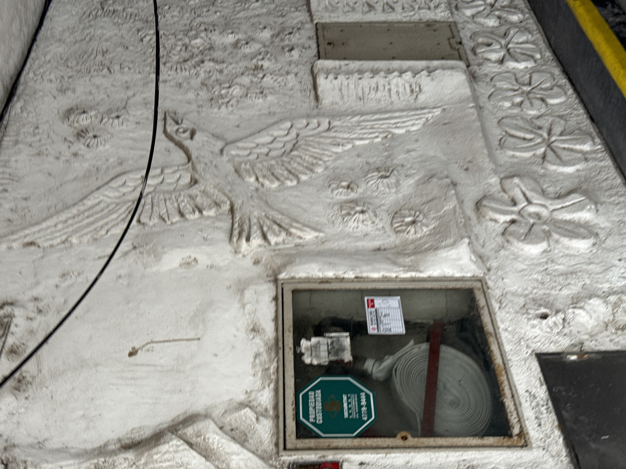 A low-angle, slightly blurry photograph shows a white concrete or stucco wall with embedded bas-relief sculptures in Buenos Aires, Argentina. The sculptures include a large bird with outstretched wings and floral motifs. A black cable runs diagonally across the top left of the image. A rectangular metal box containing a coiled white fire hose is set into the wall. A green octagonal sticker on the front of the box reads "PROPIEDAD CUSTODIADA" and has a phone number "4773-9848." Two white labels, partially obscured, are also visible inside the box. A rectangular metal plate is partially visible above the bird sculpture and another to the right of the fire hose box. The background is generally out of focus. A black edge with yellow stripes is present at the top right of the frame. The overall scene suggests a building exterior with decorative elements and fire safety equipment.