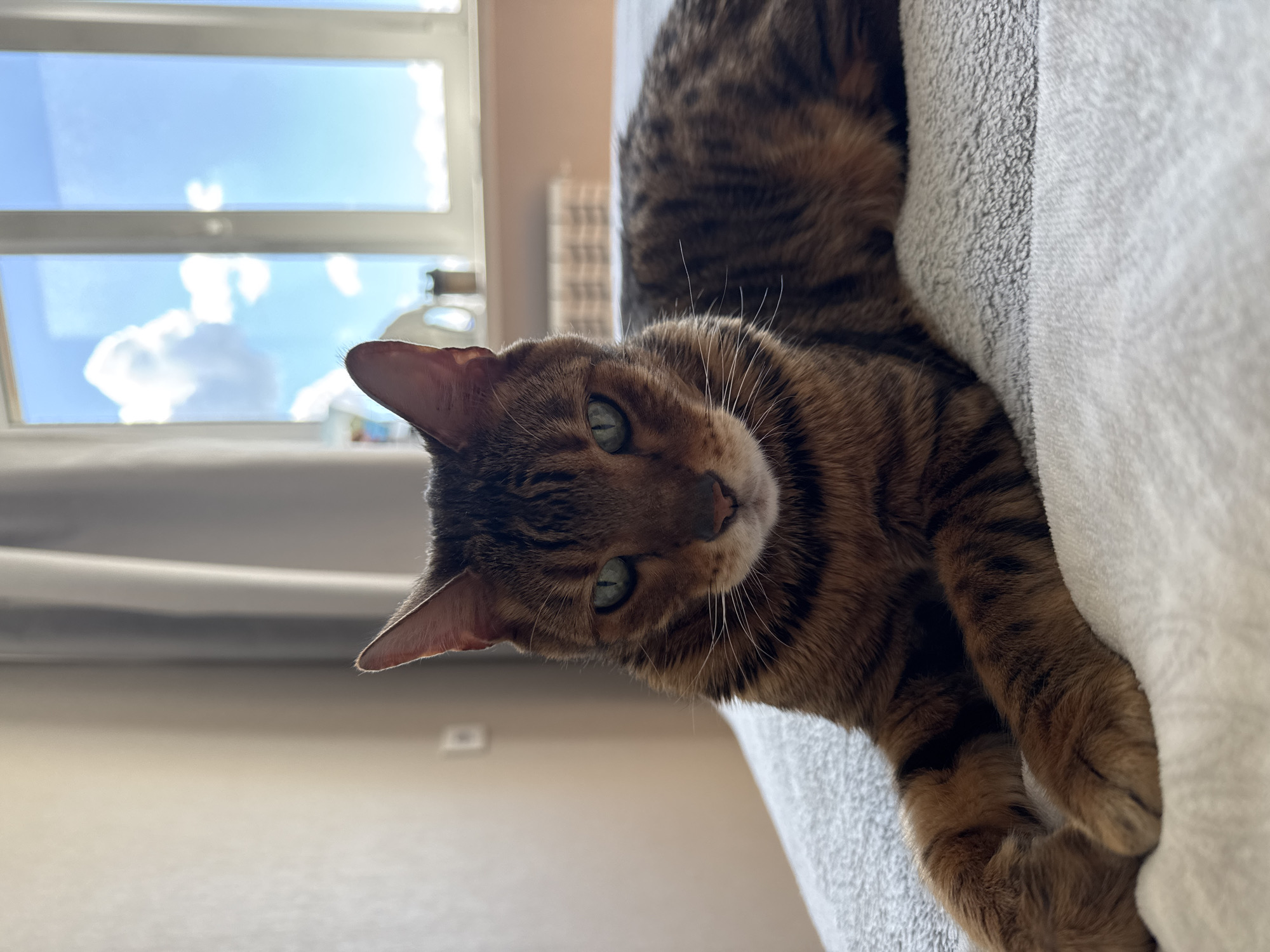 A brown tabby cat lies on a white and grey textured surface. The cat's head is tilted towards the viewer, displaying its face with green eyes and white whiskers. Behind the cat, a window reveals a blue sky with white clouds. The interior wall is painted in a light beige color. The location is Unknown, Unknown.