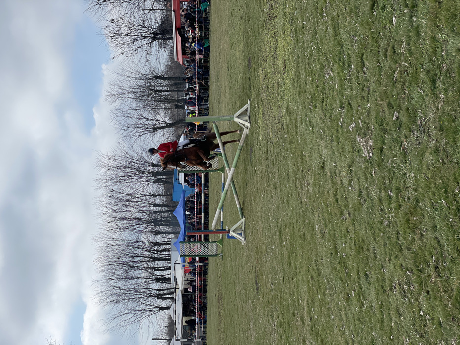 The image displays an outdoor equestrian show jumping event taking place in Kardam, Bulgaria. A bay horse, ridden by a single individual wearing a red jacket, black helmet, white breeches, and dark boots, is captured mid-air, clearing a wooden cross-pole obstacle. The obstacle consists of two white vertical standards with blue and green accents, supporting two poles forming an 'X' shape, with the lower pole appearing green and white. The event is set on a large, green grassy field with visible patches of sparser vegetation, under an overcast sky. In the background, a horizontal line of bare deciduous trees is present. Beneath the trees, numerous spectators are gathered behind a low barrier. Several temporary structures are visible, including multiple white vendor tents on the left, a blue tent, and a white van positioned towards the mid-right. A red food truck, surrounded by a crowd of people, is on the far right side of the scene.