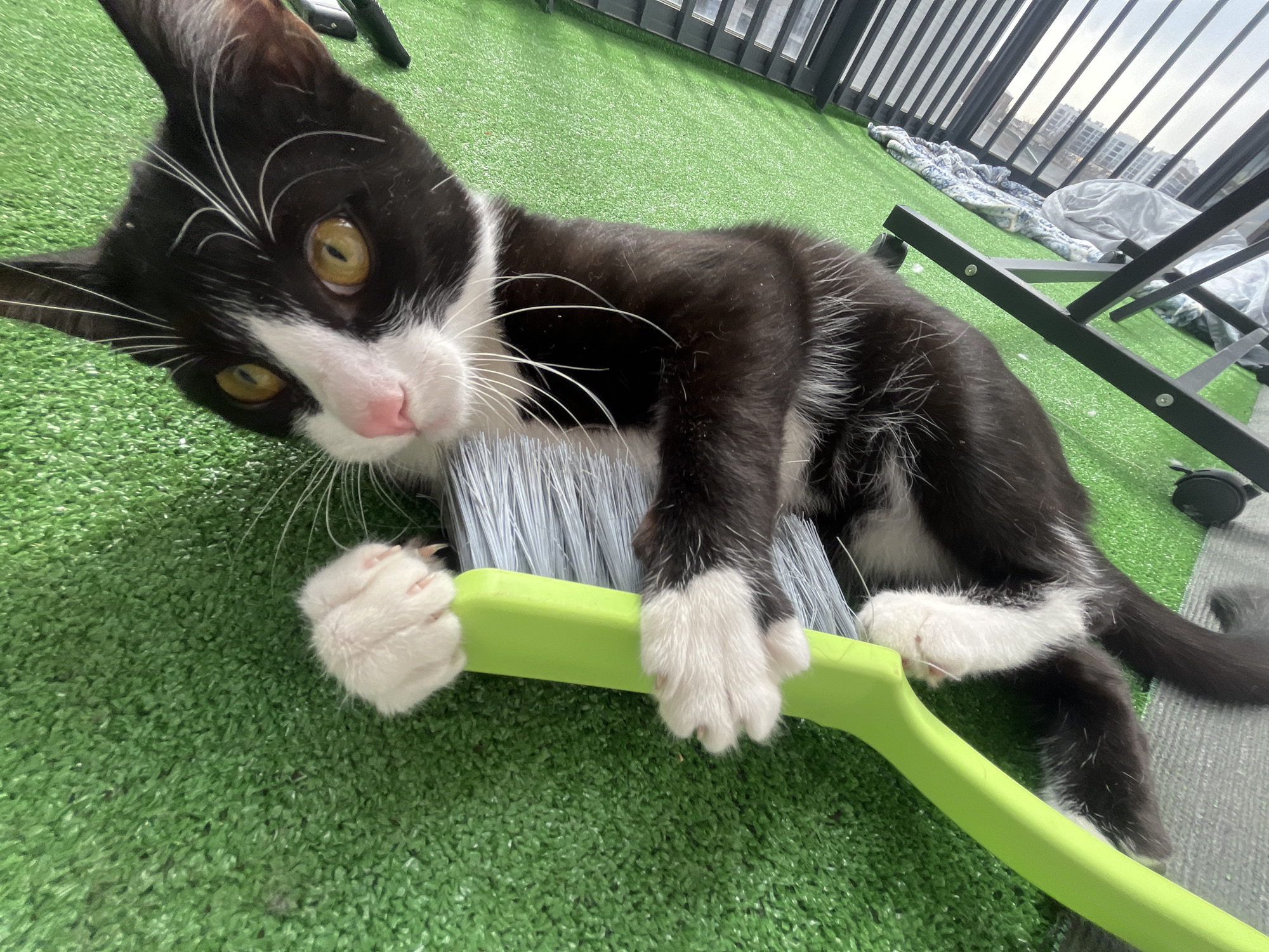 A black and white kitten is lying on its side on a green artificial turf surface, holding onto a green-handled brush with gray bristles. The kitten's face is turned towards the camera with a playful expression, displaying yellow eyes and white whiskers. A metal-framed object with wheels rests on the turf near the kitten. In the background, a window or balcony railing reveals a cityscape with buildings and cloudy skies, possibly resembling Saint Petersburg, Russia. A bundled fabric or bedding is visible near the railing.