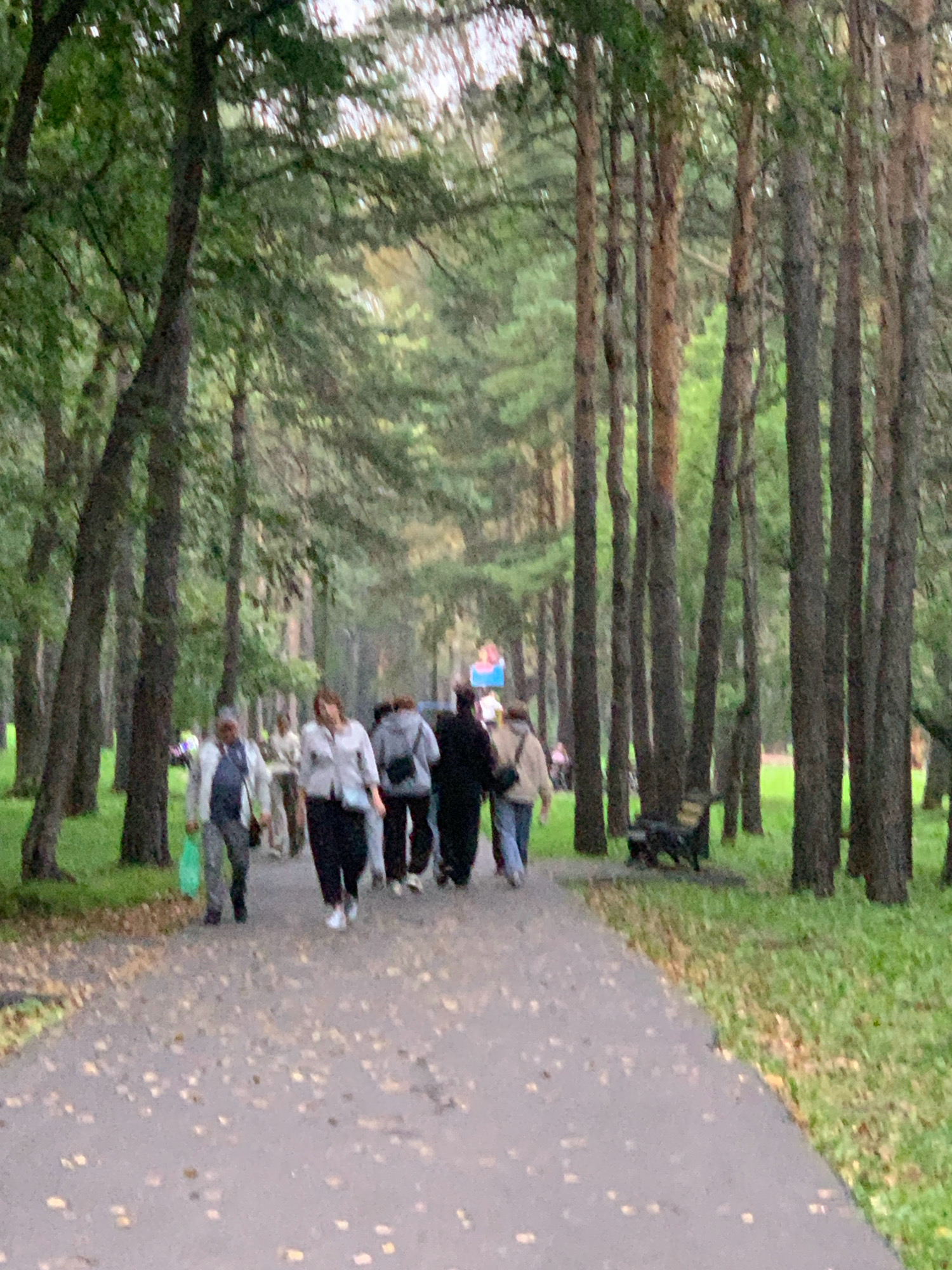 The image depicts a pathway through a forest-like environment with tall trees lining both sides. Several individuals are walking along the path, some individually and some in small groups. The ground is paved and scattered with fallen leaves. The lighting suggests it is daytime, possibly overcast or late afternoon. The environment appears to be a park or a wooded area within a city. Based on available information, this scene is likely located in the city of Prokopyevsk, Russia, as indicated by the provided context.