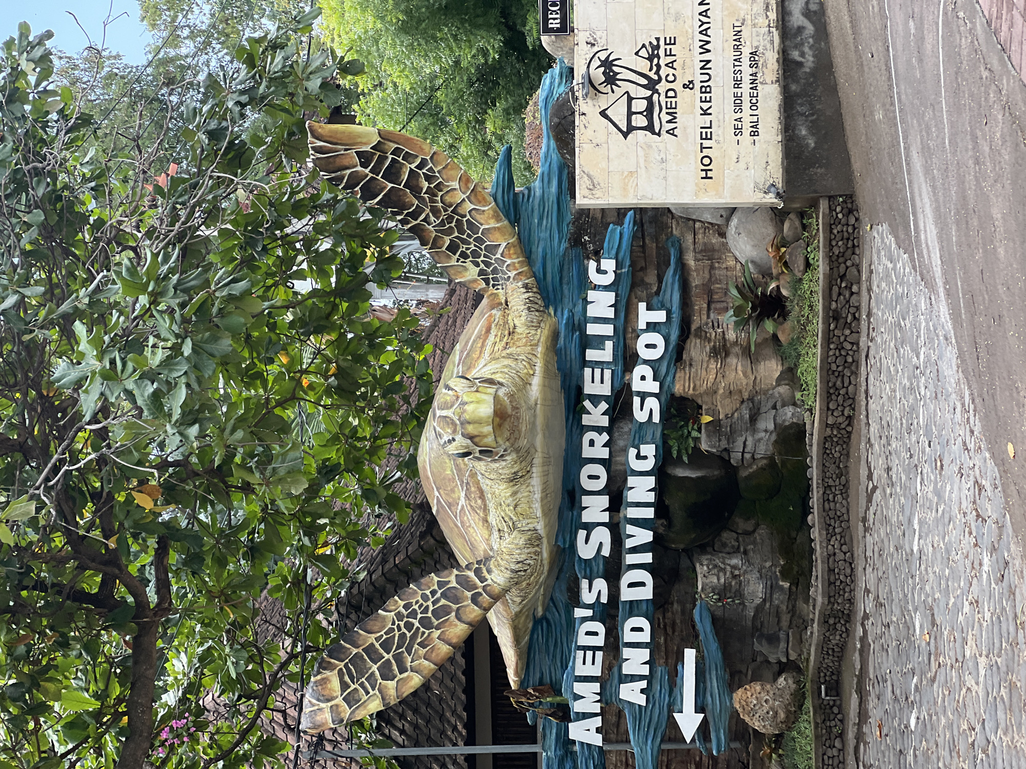An eye-level medium outdoor shot shows a large, realistic statue of a green sea turtle with outstretched flippers, positioned above a sign reading "AMED'S SNORKELING AND DIVING SPOT." The turtle statue is depicted on a blue, wave-like structure, and behind it, a stone wall is visible. To the right of the turtle statue, a light-colored stone sign displays text and a logo. The text on the stone sign reads "AMED CAFE & HOTEL KEBUN WAYAN - SEA SIDE RESTAURANT - BALI OCEANA SPA." The scene is framed by lush green trees and foliage overhead, and the ground in the foreground is paved with cobblestones. The setting appears to be in the city of Abang, Indonesia.