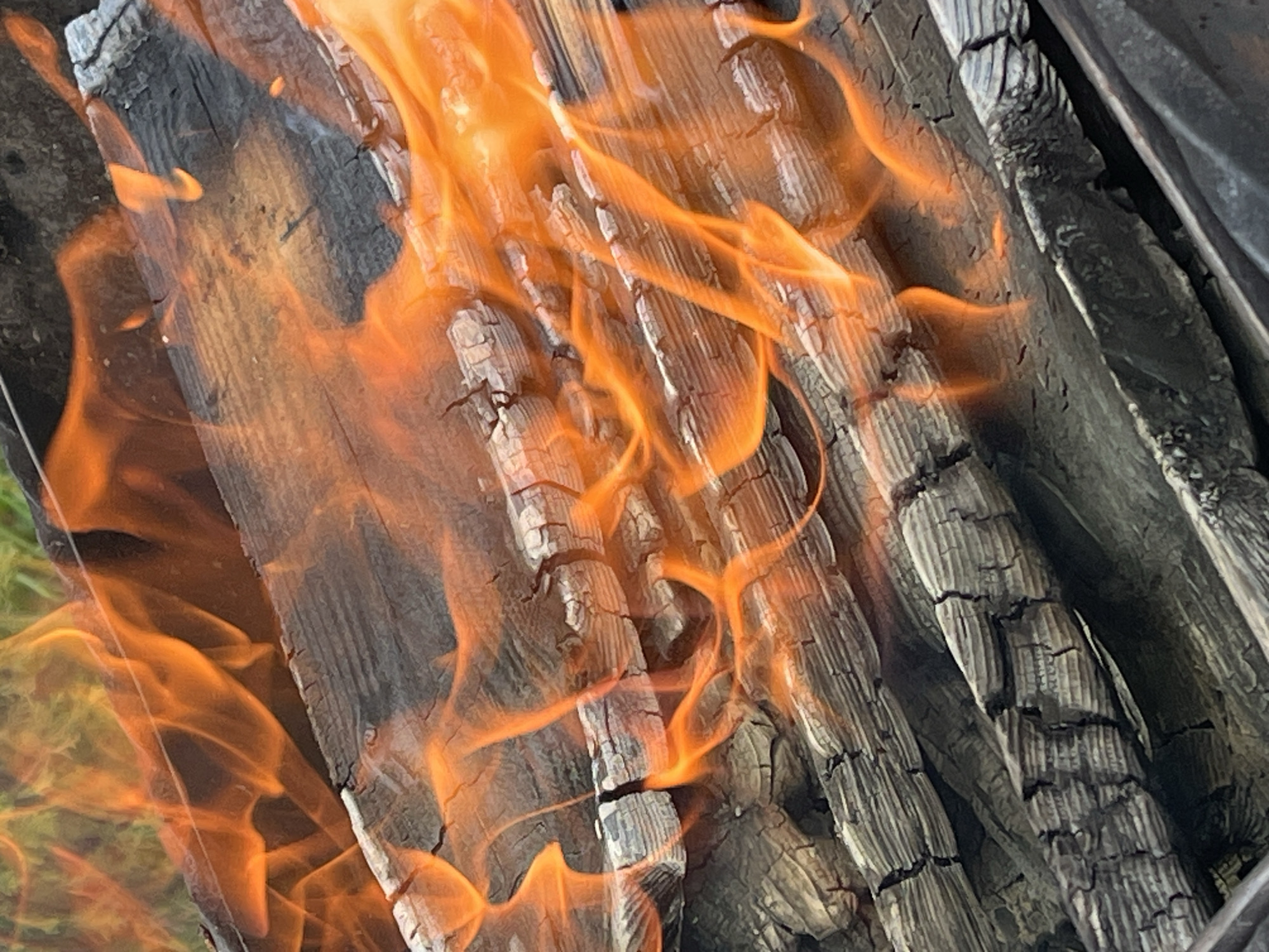 The image captures a close-up view of burning wood, with prominent orange flames licking at charred logs. The texture of the wood is rough and deeply grooved, indicating it has been subjected to intense heat. The flames are dynamic and irregular, creating a sense of movement and heat. The background appears to be a natural setting, with hints of green foliage visible in the lower left corner, suggesting an outdoor location. The lighting is dominated by the fiery glow of the flames, which casts an warm illumination on the surrounding wood. The scene evokes a feeling of warmth and the primal nature of fire. There is no visible text in the image.