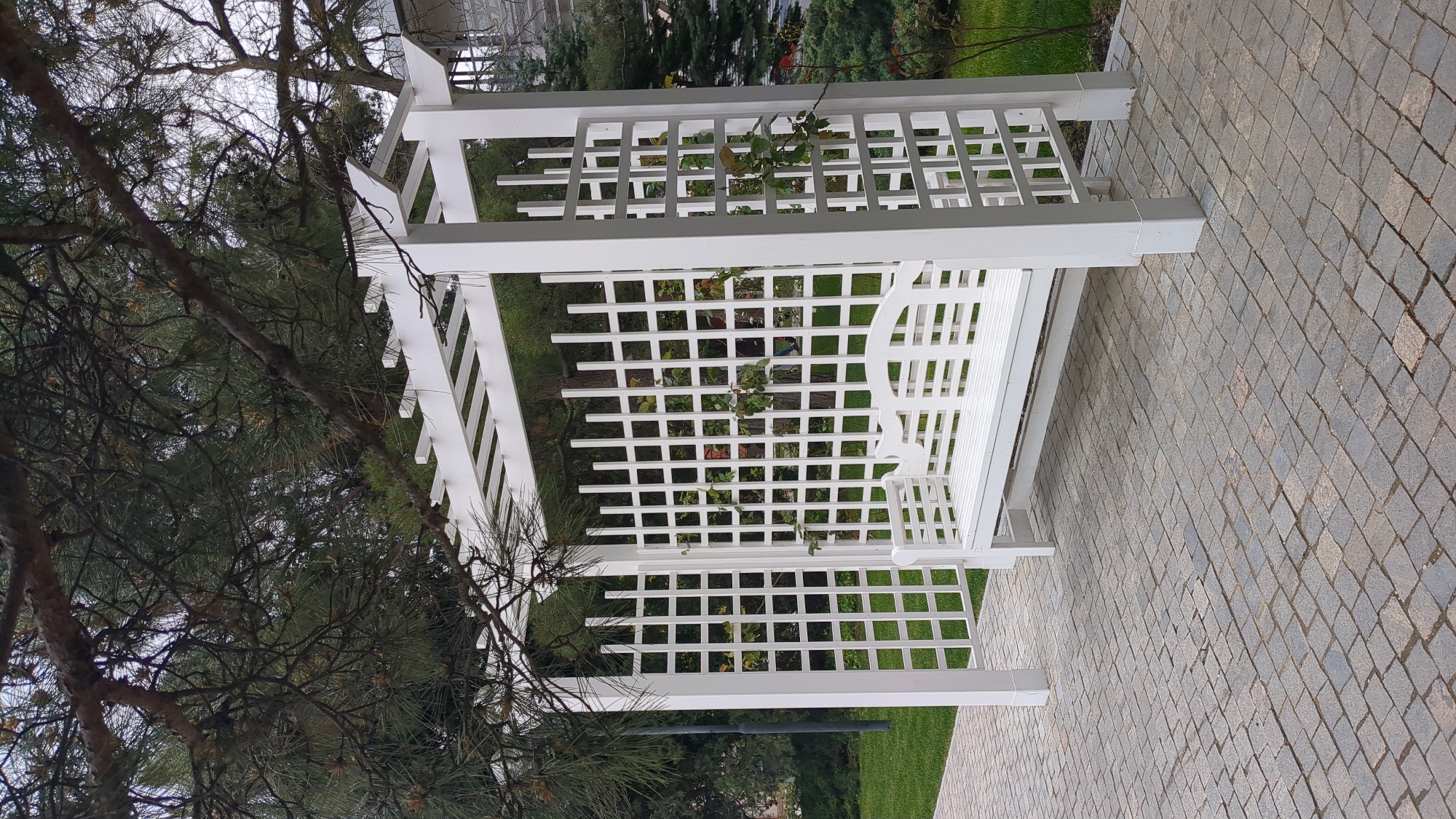 The image shows a white pergola in a garden or park setting. The pergola has a lattice design and appears to be made of wood. It's situated on a paved area, possibly a stone or brick pathway. Foliage and trees surround the pergola, creating a natural backdrop. The scene is captured on a cloudy day. Based on the prompt, the location is likely in the city of Gelendzhik, Russia.