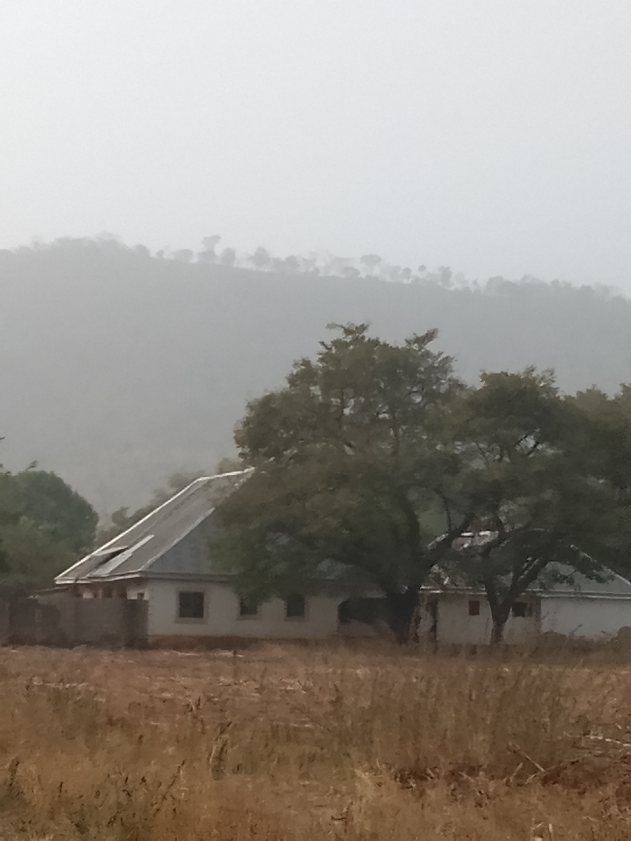 This image depicts a single-story building situated within a dry, grassy landscape in Jibam, Nigeria. The building features a light-colored facade and a prominent grey, sloped, corrugated metal roof, with a section on the left appearing slightly raised or damaged. Several rectangular windows are visible on the building's front. A large, mature tree with dense green foliage stands centrally in front of and to the right of the building, partially obscuring it. The foreground consists of tall, dry, golden-brown grass. In the background, hazy, tree-covered hills or mountains rise under an overcast, light grey sky. No individuals or active elements are present in the scene.