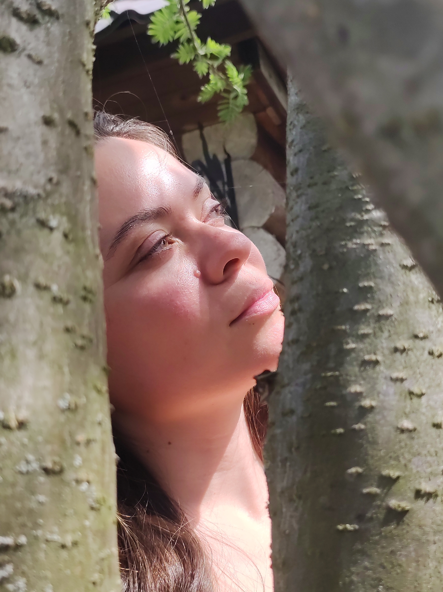 A close-up, upward-angle shot captures a woman's face partially obscured by two tree trunks. The woman's face is angled slightly to the right, looking upwards with a soft expression. Light illuminates her skin, accentuating her cheekbones and the subtle details of her features. Her eyes are open and gazing upward. The tree trunks are positioned on either side of her face, framing her. The bark of the trees has a rough texture. Green foliage is visible in the background. The location cannot be inferred from the image.