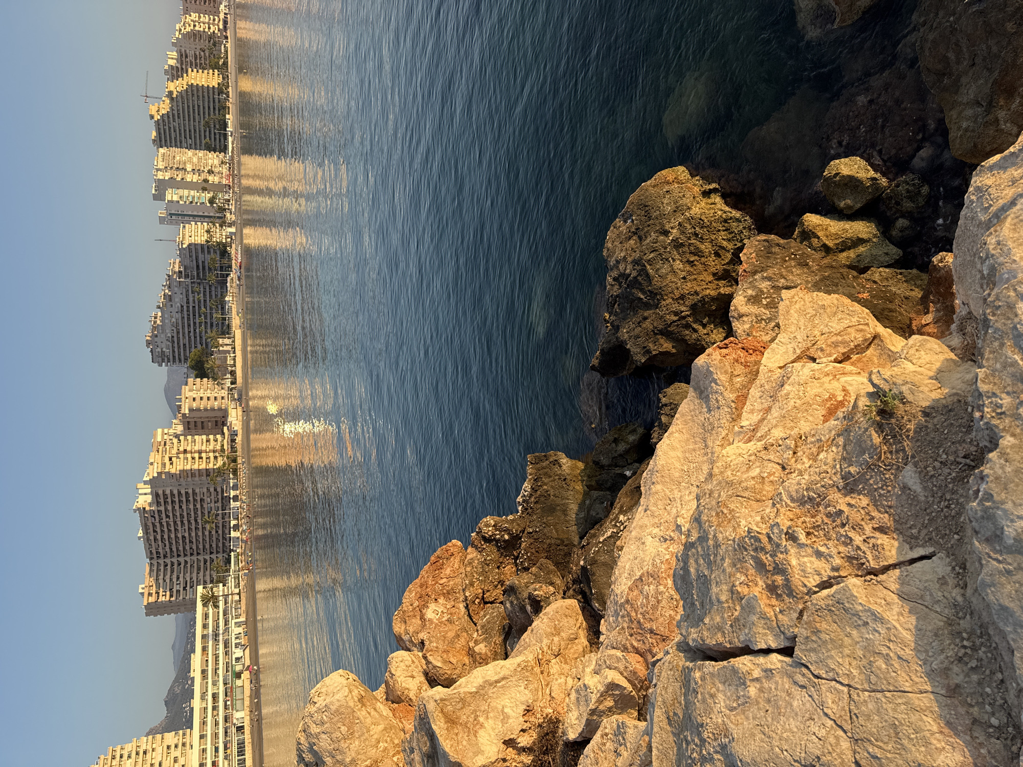 The image shows a coastal scene in Calp, Spain, likely taken during sunrise or sunset. In the foreground, large, rough, light-colored rocks are piled along the shoreline. The rocks are illuminated by the warm, golden light of the sun, casting shadows and highlighting their textured surfaces. Beyond the rocks, the calm, deep blue sea stretches out, with gentle ripples reflecting the sky and distant buildings. In the background, a row of multi-story buildings, likely hotels or apartments, lines the beachfront. These buildings have a light, neutral color and feature many balconies and windows. Palm trees are visible interspersed along the coastline in front of the buildings. The sky is a clear, pale blue, suggesting good weather. The overall impression is one of a serene and picturesque coastal resort town.