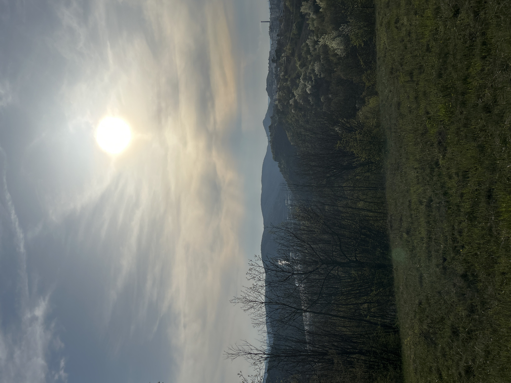 The image is a landscape view from Veliko Tarnovo, Bulgaria, taken outdoors during daylight hours. The sun is high in the sky, partially obscured by clouds, casting a bright glare. In the foreground, there is vegetation, with grass covering the ground on the right side of the image. Bare trees and shrubs are positioned between the grassy area and a hazy mountain range in the background. On the top left portion, one can see buildings nestled on a mountainside, likely part of Veliko Tarnovo. The overall scene suggests a rural or suburban setting just outside the main city area.