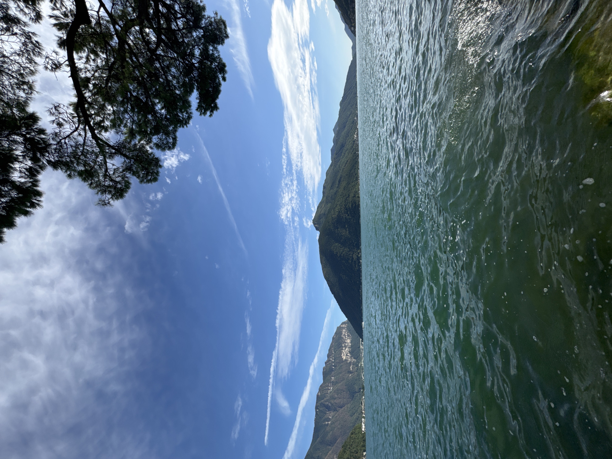A panoramic, eye-level outdoor photograph captures a scenic view of a lake and distant mountains under a bright blue sky with scattered clouds. The foreground is dominated by the textured, rippling surface of a large body of turquoise water, with small waves and white foam visible. To the right, sunlight glints off the water's surface, and a hint of green moss or algae is visible on submerged rocks at the edge.
In the mid-ground, a range of lush green mountains slopes down to the water's edge, with a few scattered buildings visible on the slopes. The mountains continue into the background, forming a natural barrier. The sky above is a vibrant blue, streaked with wispy white clouds that create a dynamic texture.
The upper right portion of the frame is partially obscured by the dark silhouette of pine branches and needles, suggesting the viewpoint is from beneath a tree. The overall impression is one of natural beauty and tranquility.
The location is the vicinity of Melide, Switzerland, overlooking Lake Lugano and the surrounding mountainous landscape. No people or specific actions are depicted in the image.