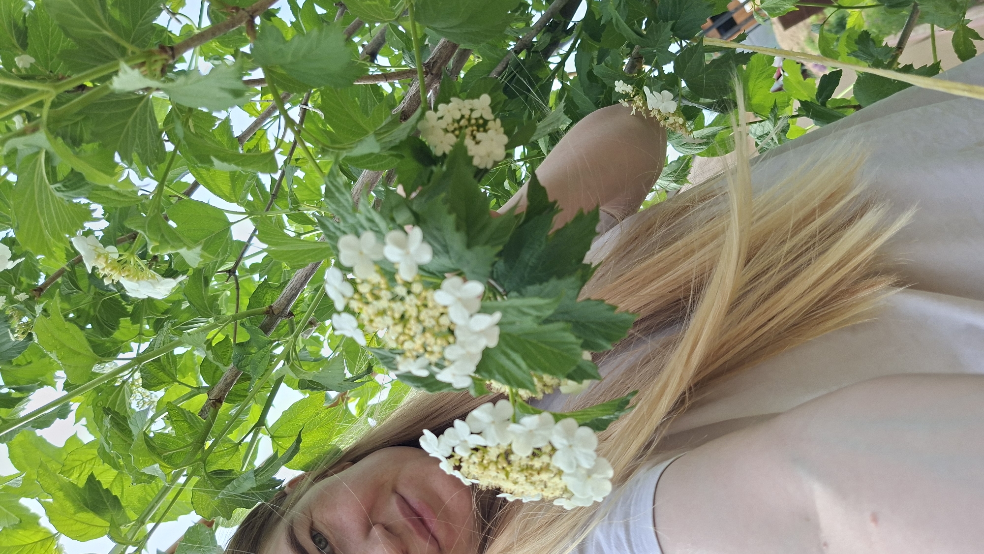 The image shows a woman with long, straight blonde hair lying under a tree with white flowers and green leaves. The perspective is from directly below, looking up. The woman's face is partially visible, showing her nose and one eye. She appears to be wearing a white top. The background consists of the tree's foliage and a glimpse of the sky. The image appears to have been taken in daylight. Location: Большой Букор, Russia is not discernible from the image.