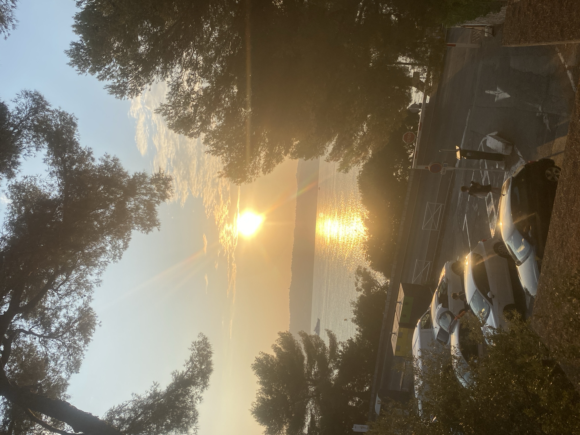 The image depicts a sunset over the Mediterranean Sea, likely near Antibes, France, viewed from an elevated position overlooking a parking area and a street. Silhouetted pine trees frame the top and sides of the scene, their branches partially obscuring the sky. The sun, a bright orb, is low on the horizon, casting a golden, shimmering reflection across the water. A large boat is visible in the distance on the sea.
In the foreground, several cars are parked on asphalt. Among them are a white van, several white hatchbacks, and a black hatchback. A pedestrian, appearing to be a young person with dark hair carrying a bag, is walking across the street, away from the parked cars. The street has white lane markings and a parking meter. A red stop sign is mounted on a pole at the edge of the road, and a smaller "SAUF P" (meaning "Except Parking") sign is visible below a circular red and white traffic sign. Two metallic-colored utility boxes or bins are situated near the parking area. The environment appears to be a coastal urban or semi-urban setting, characterized by the presence of a road, parking, and vegetation. The warm, golden light of the sunset creates a serene atmosphere.