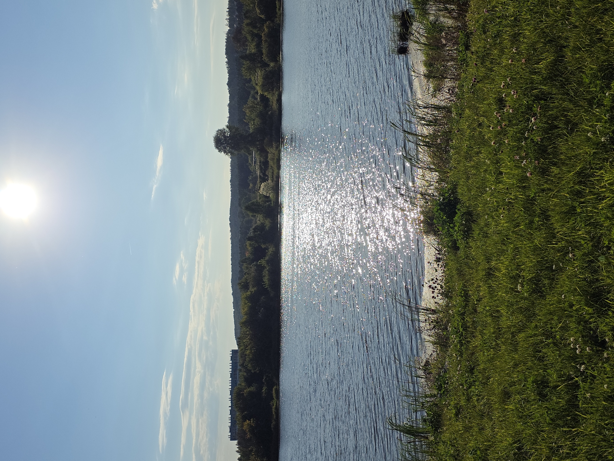 The image shows a wide, calm lake reflecting the bright sun on its surface, creating a glittering effect. The sun is high in a clear blue sky with a few wispy clouds. Along the far bank of the lake, there is a dense line of trees. Behind the trees, a large, modern building with a distinctive dark roof and numerous vertical elements can be seen. The foreground of the image consists of a grassy embankment with tall reeds growing near the water's edge. The grass is lush and green, dotted with small white flowers. This scene is characteristic of the area around the Turgoyak Lake in Miass, Russia, known for its natural beauty and recreational opportunities.
