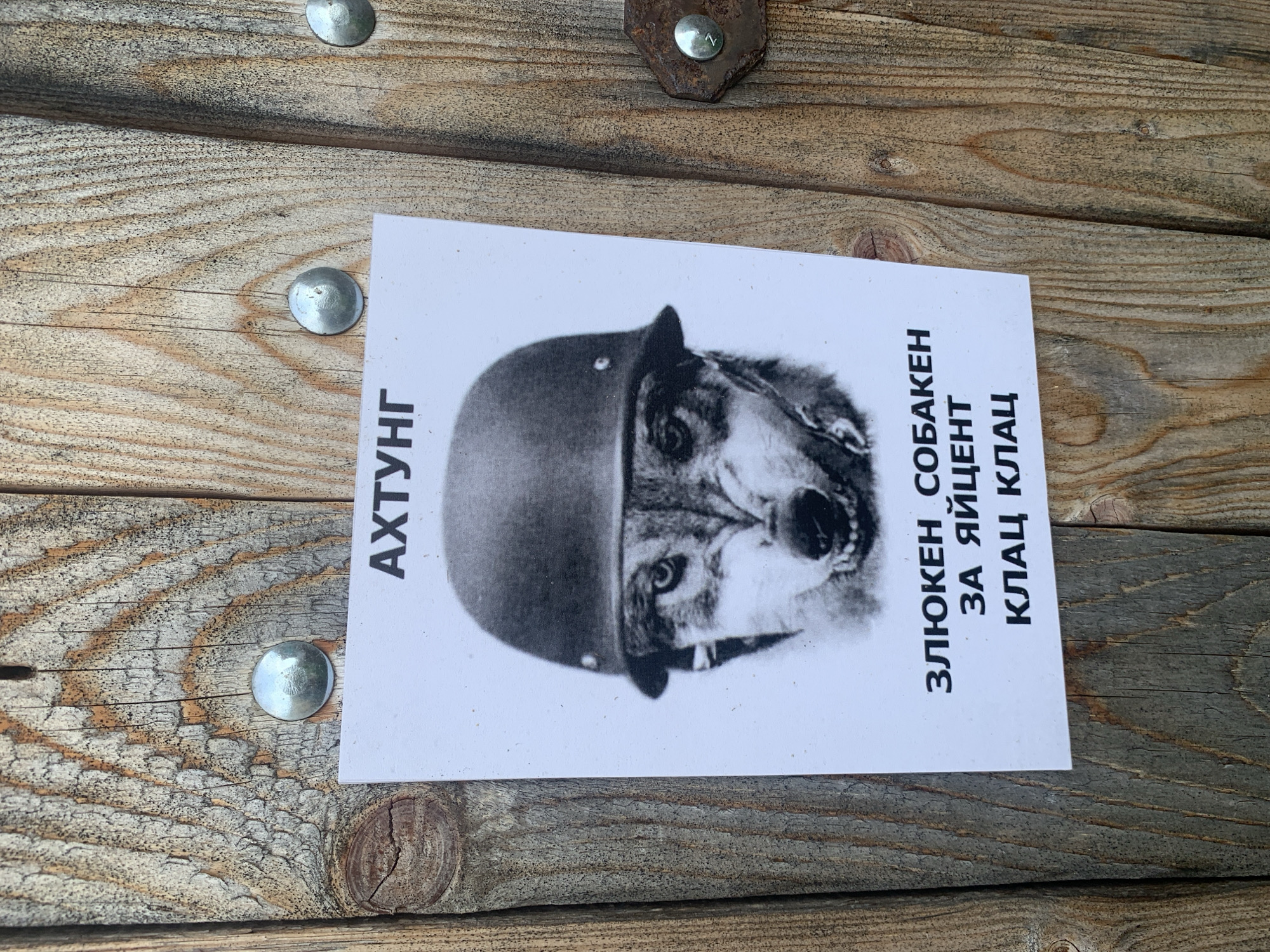 A black and white image of a poster is affixed to a weathered wooden surface, likely a fence or door, in the city of Zasechnyi, Russia. The poster features a close-up image of a wolf wearing a military helmet. Below the wolf's image, text is printed in Russian. The top of the poster reads "АХТУНГ" (Achtung, meaning attention or warning). The text below the wolf says "ЗЛЮКЕН СОБАКЕН ЗА ЯЙЦЕНТ КЛАЦ КЛАЦ" (an aggressive dog for the chicken cluck cluck), which is a humorous and aggressive warning. The poster is attached with metal fasteners. The wooden surface exhibits natural grain and texture, with visible knots and signs of age.