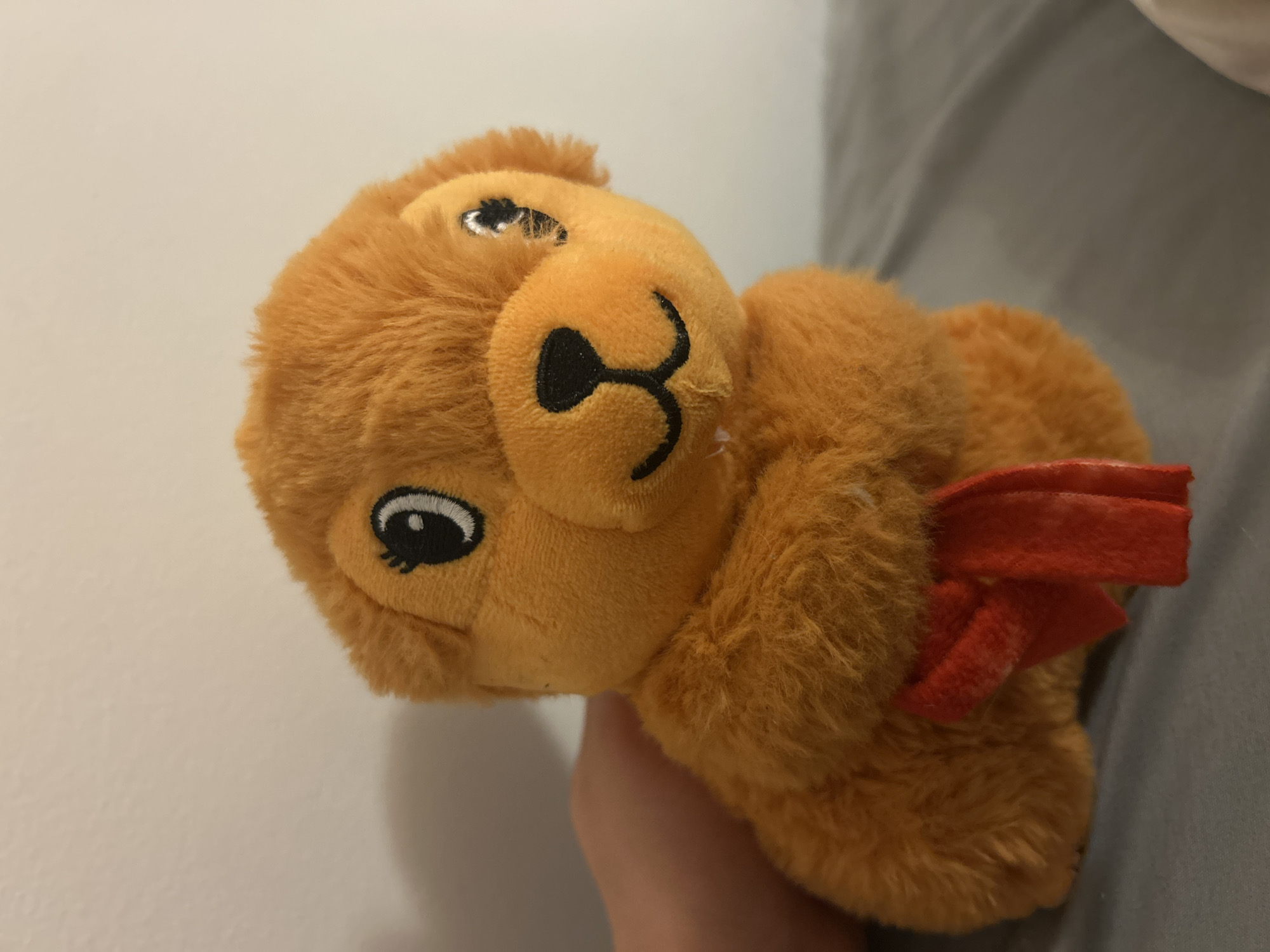 A tan, plush toy dog with a red ribbon around its neck is being held up against a white wall. The dog is in sharp focus, with embroidered eyes and nose. The background includes a partial view of a gray surface, possibly a bed or couch. The scene appears to be indoors. The location, Câmara de Lobos, Portugal, is not ascertainable from the image.