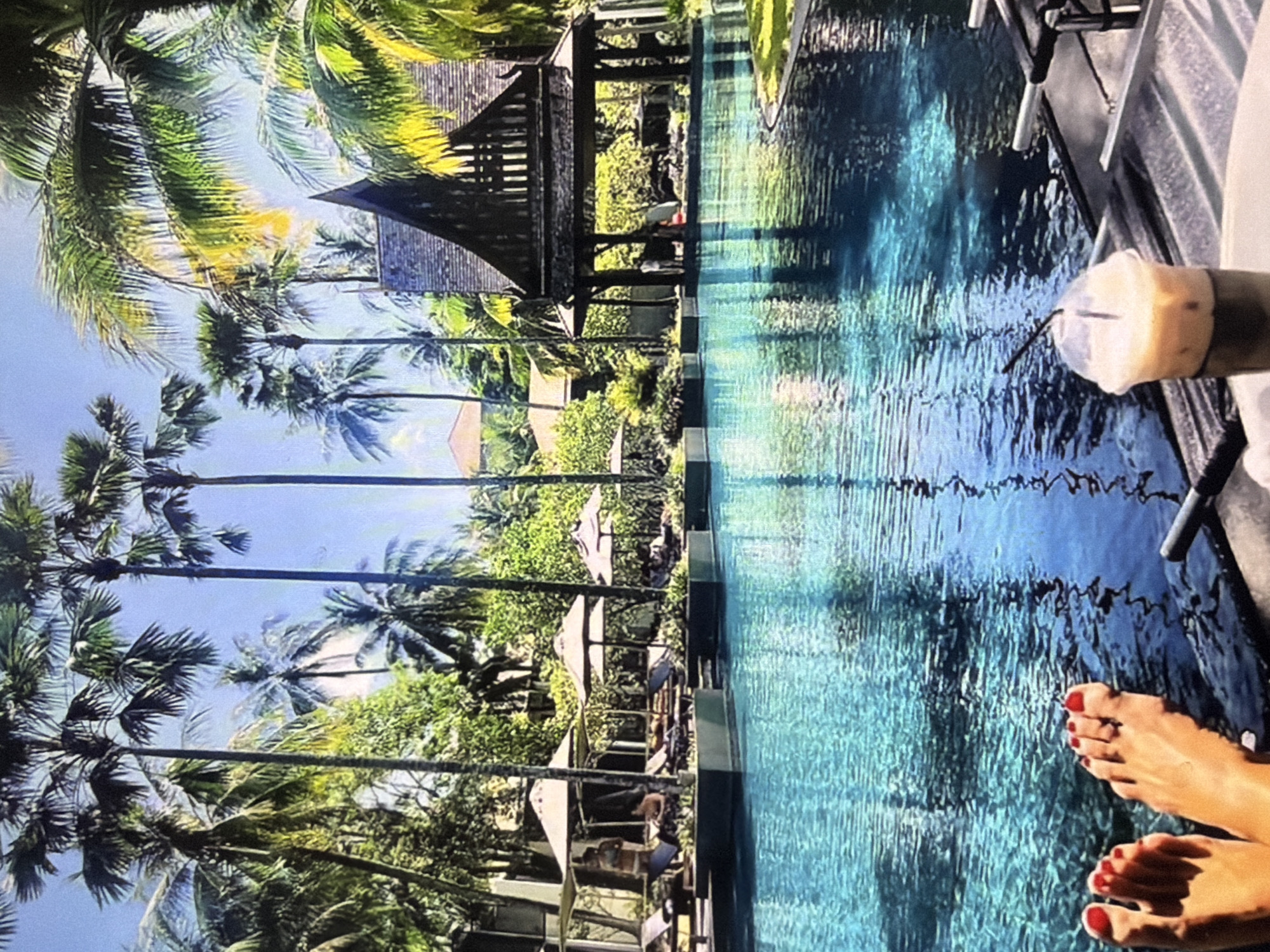 The image depicts a serene and luxurious tropical resort scene, viewed from a relaxed perspective by the edge of a swimming pool. The large, pristine blue pool occupies the right side of the frame, its surface gently rippled, reflecting the bright sky and surrounding foliage. In the foreground, a person's bare feet, adorned with red nail polish, are casually dipped into the cool water. Slightly above, on the right, a hand holds a clear plastic cup with a straw, containing a light-colored iced beverage.
The left side of the image is dominated by lush, vibrant green palm trees, their tall trunks and expansive fronds reaching towards a clear blue sky. Nestled among the dense greenery and directly across the pool, a traditional-style wooden gazebo or pavilion with a dark, multi-tiered roof stands prominently. Beyond the gazebo, several white lounge chairs with matching umbrellas are visible along the poolside, some occupied by indistinct figures, suggesting other guests enjoying the facilities. Further into the background, hints of other resort buildings are visible through the trees.
The scene conveys a strong sense of relaxation and vacation. It is clearly daytime, with bright sunlight creating shimmering reflections on the water. The tropical vegetation and resort architecture, particularly the gazebo, suggest a warm climate and a luxurious travel destination. There is no visible text in the image.