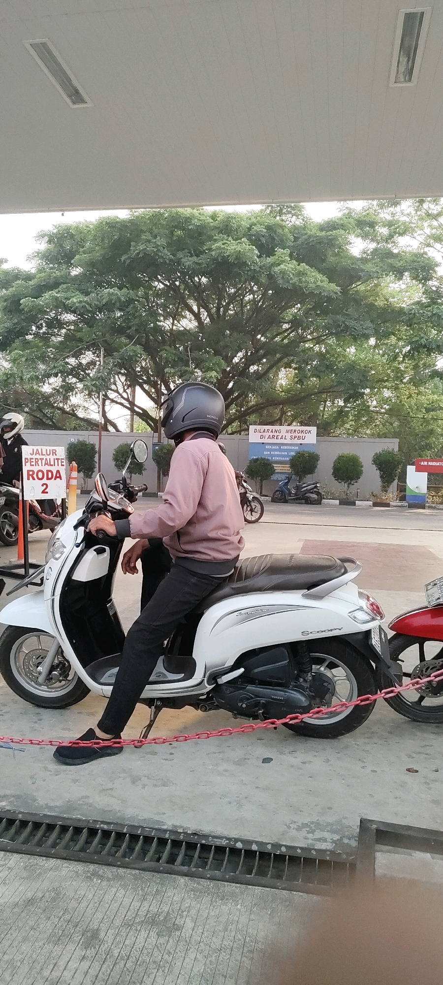 In Banjarbaru, Indonesia, a person wearing a grey helmet and a light pink jacket sits on a white Honda Scoopy motorcycle. The motorcycle is parked on a concrete surface, with a red chain separating it from other vehicles. Behind the motorcycle, a sign reads "JALUR PERTALITE RODA 2" (Pertialite Lane for Two Wheels) and another sign indicates "DILARANG MEROKOK DI AREAL SPBU" (No Smoking in the SPBU Area). Trees with dense green foliage are visible in the background, and a covered area with fluorescent lighting extends overhead. The scene appears to be at a gas station (SPBU).