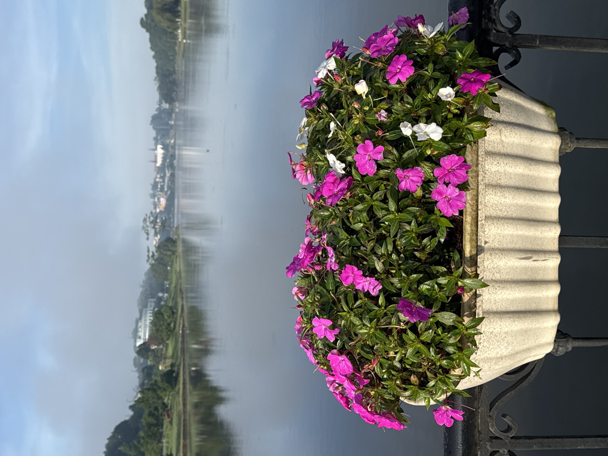 The image displays a close-up of a stone planter overflowing with vibrant pink and white impatiens flowers, positioned on a dark, ornate metal railing. The planter is set against the backdrop of Xuan Huong Lake in Da Lat, Vietnam. The lake's surface is calm and reflects the hazy morning sky and the distant shoreline, which is dotted with trees and buildings. A soft mist hangs over the landscape, creating a serene and slightly ethereal atmosphere. The sun is rising, casting a gentle light on the scene, and the flowers appear dewy, suggesting early morning. There are no people visible in the frame. The overall impression is one of peaceful natural beauty within an urban setting.