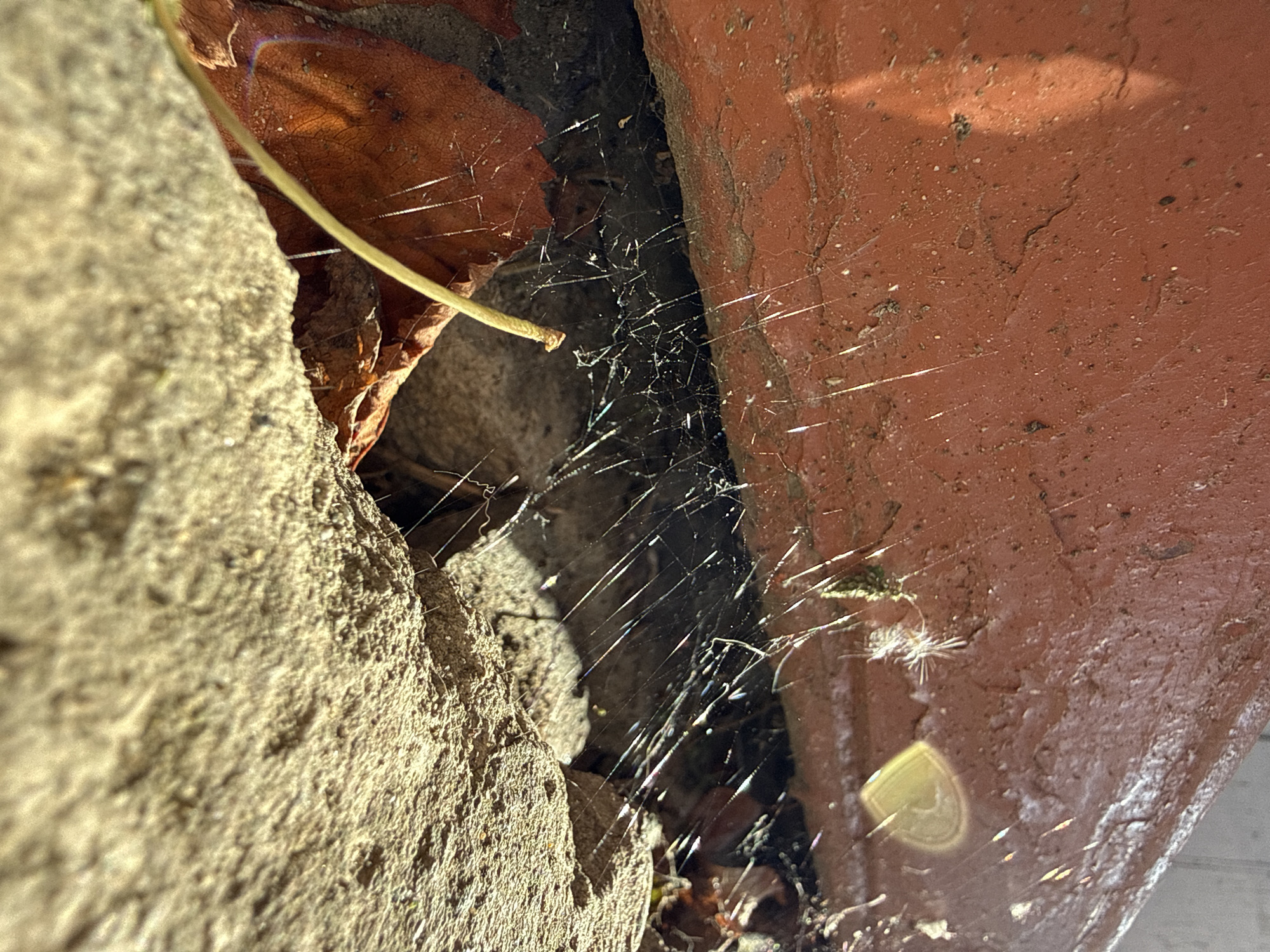 The image shows a close-up, angled view of a spiderweb stretched between a rough, light-colored stone surface on the left and a reddish-brown, textured surface on the right. The spiderweb is intricate and catches the light, with many individual strands clearly visible, some appearing beaded with dew or small particles. A dry, brown leaf is partially visible in the upper left, resting on the stone. A thin, light-colored stem or twig arches over the web from the leaf area towards the right. The reddish-brown surface appears to be painted or coated, with some cracks and imperfections. The lighting suggests it is daytime, with strong sunlight casting highlights and shadows. The overall scene evokes a sense of nature and the outdoors, possibly a corner of a garden or an outdoor structure. There is no visible text.