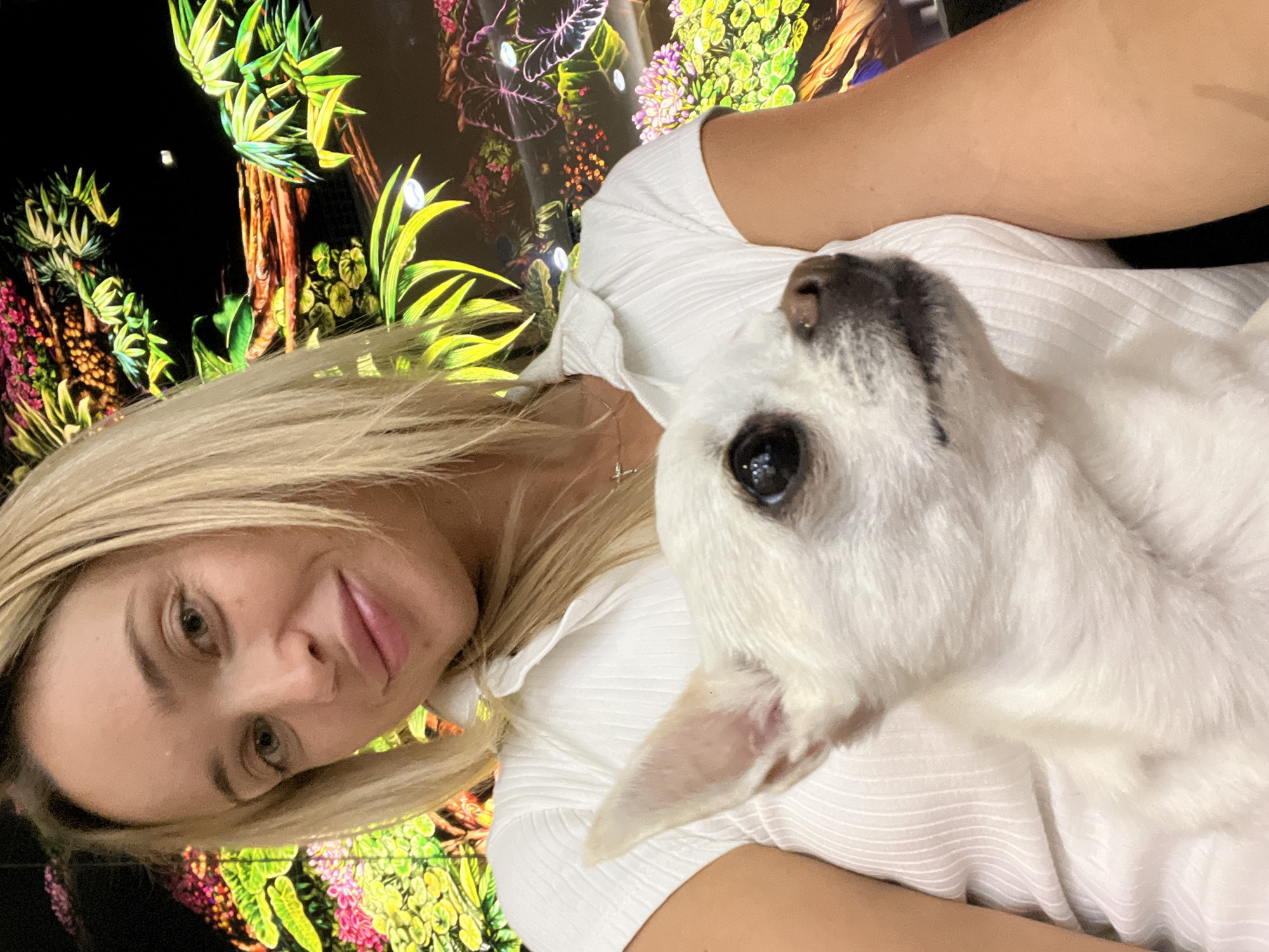 In Odesa, Ukraine, a woman with blonde hair, wearing a white collared shirt, is taking a selfie. She is holding a small white dog, a Chihuahua, close to her chest. The background is a vibrant, colorful mural depicting lush foliage and branches, suggestive of a tropical or jungle theme, with areas of dark, possibly black, space interspersed. The lighting is warm and diffused, highlighting the subjects and the textured details of the mural. The woman's expression is relaxed, and she is looking towards the camera. The dog is looking to the right of the frame with its ears perked up. The scene appears to be indoors.