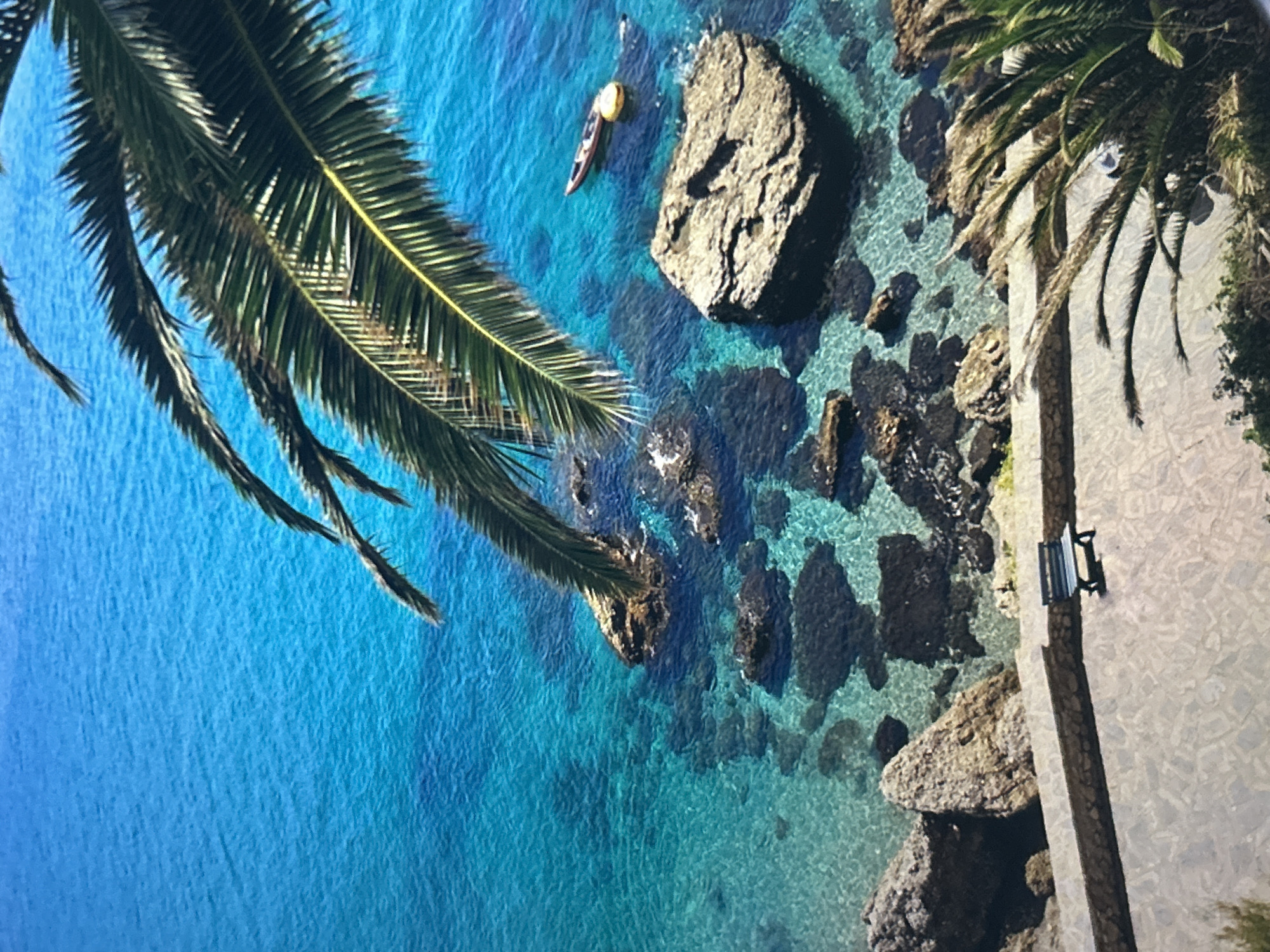This image captures a high-angle, slightly rotated view of a vibrant coastal scene, showcasing crystal-clear turquoise waters, rocky shores, and lush palm trees. The dominant feature is the expansive body of water, transitioning from a deeper blue further out to a lighter, translucent turquoise closer to the shore, where various large, dark rock formations are clearly visible beneath the surface and emerging from the water.
In the upper-middle section of the water, a single person is seen paddling a kayak. The kayak is distinctly colored red and brown with a bright yellow top or seat, and another small, dark form is nearby, possibly a second person or an object related to the kayak. The water appears calm, suggesting fair weather and serene conditions for water activities.
On the right side of the image, a paved walkway or promenade runs parallel to the coastline. A black park bench is situated on this path, indicating a scenic spot for relaxation. The land also features additional palm trees and green vegetation along the path. Large, textured rock formations form the rugged interface between the paved area and the sea.
Overhanging the scene from the upper-left and top, several large, green palm fronds frame the composition, adding to the tropical ambiance. The bright illumination suggests it is daytime, likely a sunny morning or afternoon, with clear skies. The overall impression is one of a tranquil and picturesque Mediterranean or tropical resort setting. No text is visible in the image.