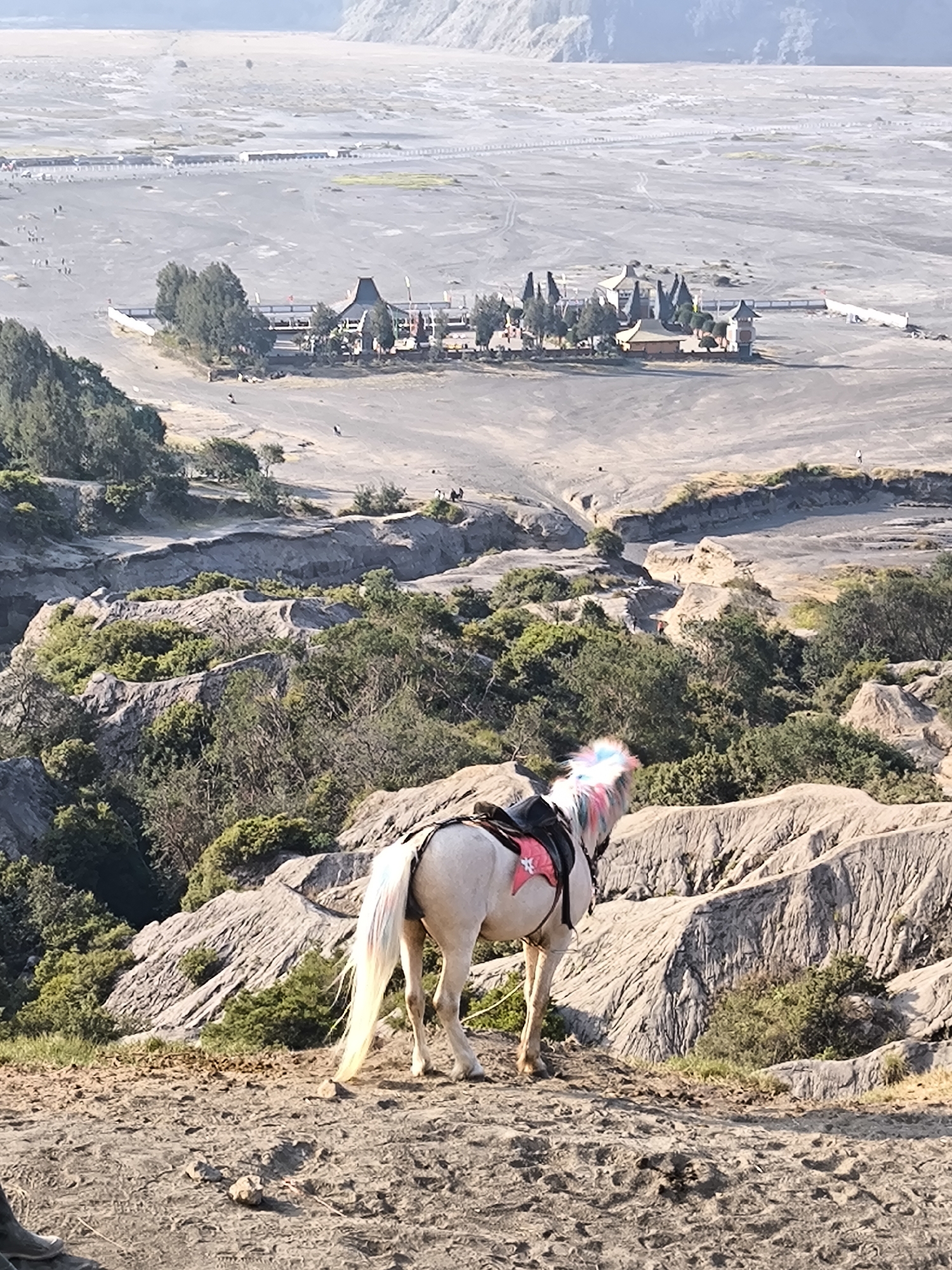 A light-colored horse with a colorful mane stands on a sandy, rocky terrain, facing away from the camera. The horse is adorned with a saddle and a pink saddle blanket with a white star. In the background, a vast, arid landscape stretches out, dotted with sparse vegetation and a small cluster of buildings resembling a village or temple complex. Further in the distance, the terrain appears more mountainous and hazy. The scene suggests an outdoor activity, possibly a guided tour or recreational ride, in a remote and scenic location. The lighting indicates it is daytime, likely morning or late afternoon, given the gentle shadows. The overall atmosphere is serene and adventurous, with the arid landscape hinting at a volcanic or desert-like environment.