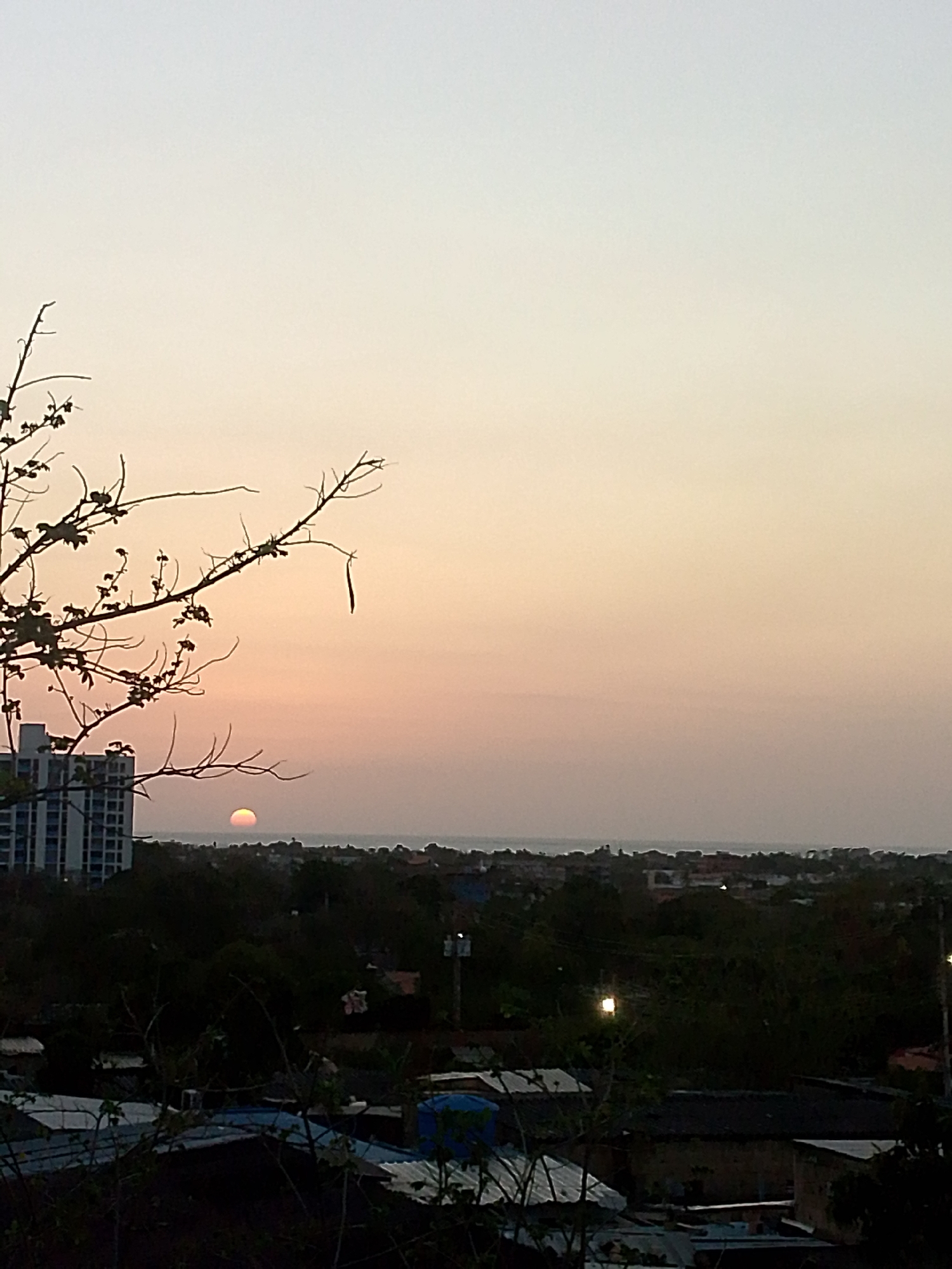 The image captures a sunset view over the city of Juan Griego, Venezuela. In the foreground, there are residential rooftops, trees, and branches with sparse leaves extending from the left side of the frame. A partially visible, modern building stands near the left edge. The orange sun is setting near the horizon, reflecting light on the water in the distance. The sky transitions from light yellow-orange to pale grey. Some street lights are visible among the trees.