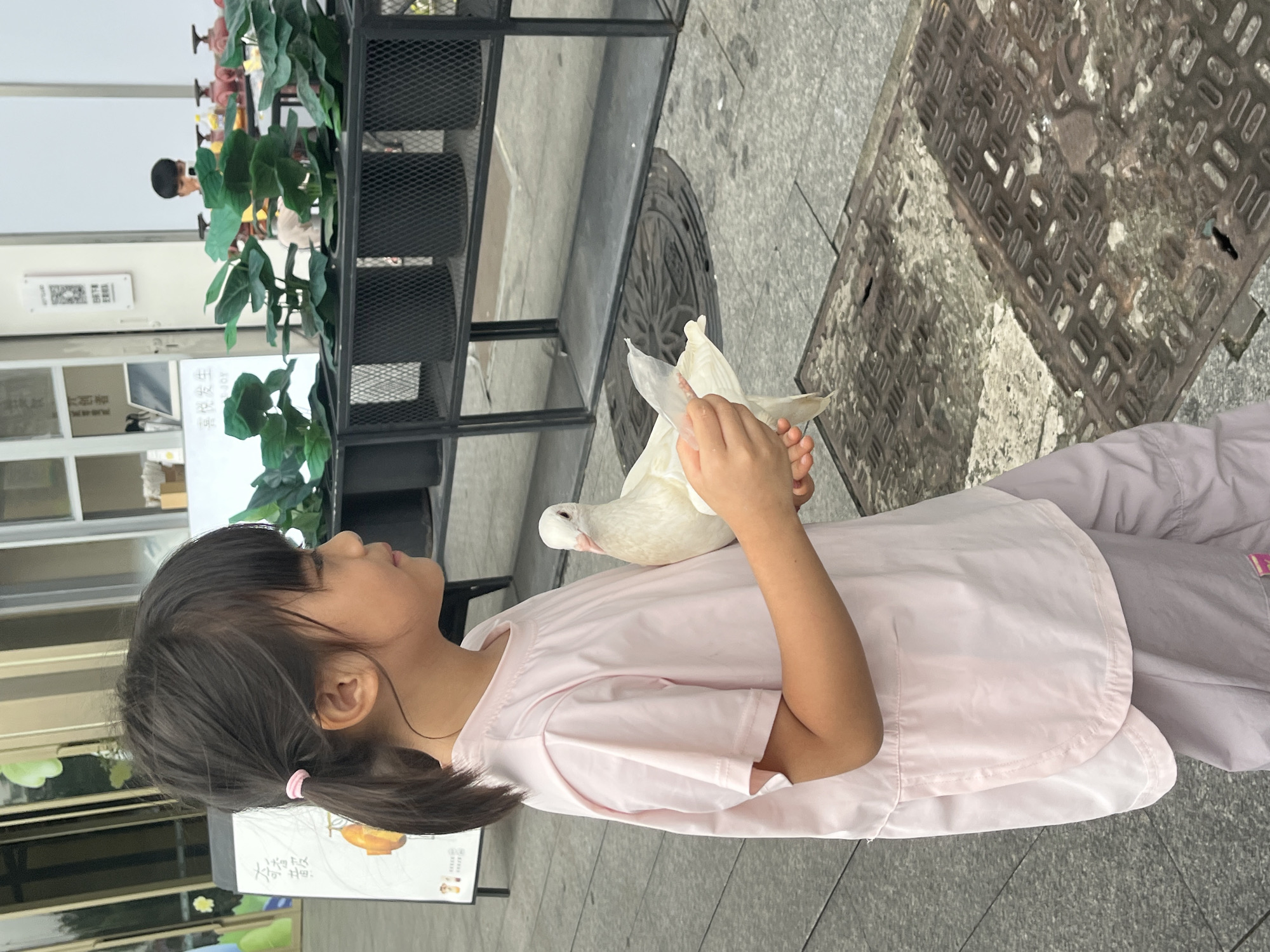 A young Asian girl with dark hair tied in a ponytail with a pink hair tie is standing outside, holding a white pigeon. She is wearing a light pink t-shirt and light purple pants. The girl is looking to her right, and the pigeon is facing her. The background shows a street with a metal shelf holding several potted plants, a store window, and a man in the background. The ground is paved with grey stones and has metal manhole covers. The image appears to be taken in Chancheng District, China.