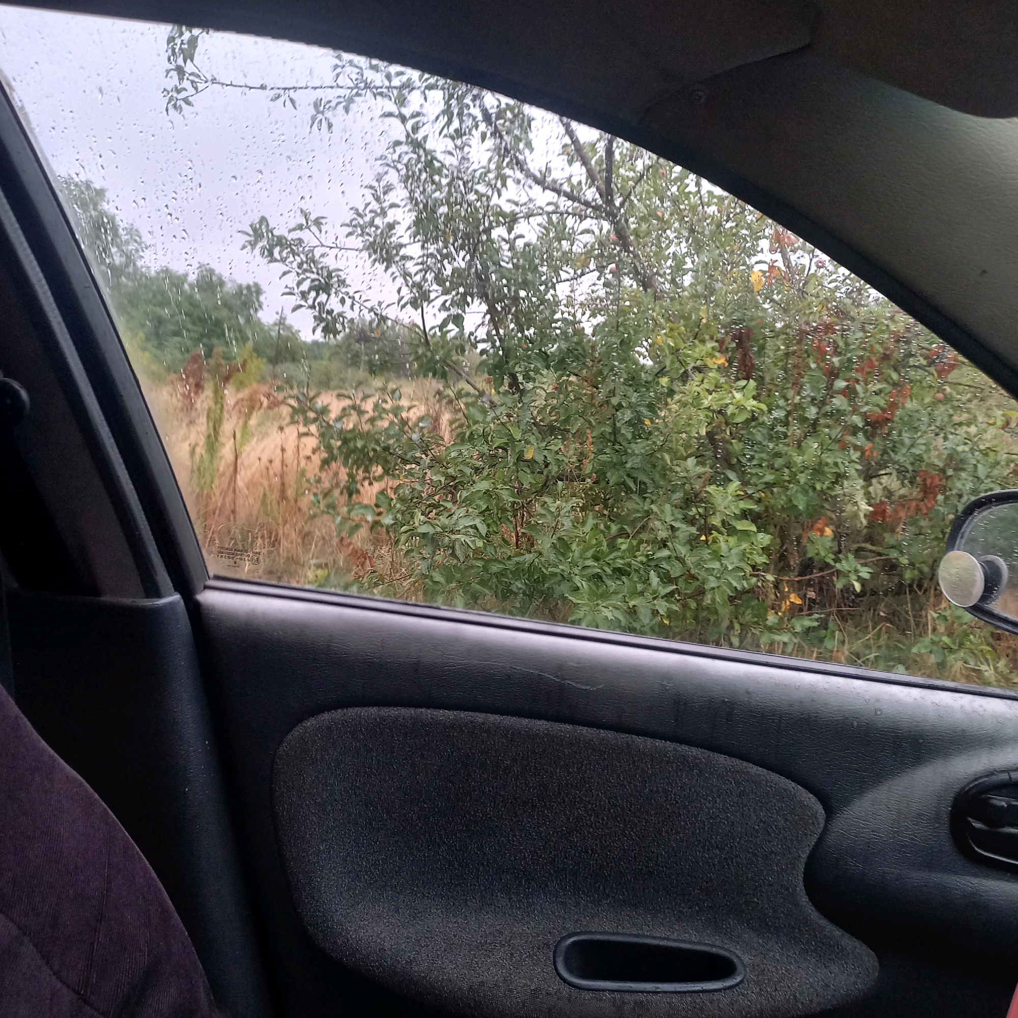 The image shows a view from inside a car looking out through a window. The window is wet with raindrops. Outside the car, there are trees and vegetation, with some dry, tall grass in the background. The sky appears overcast. The interior of the car is visible in the foreground, showing a black door panel with a dark fabric insert. A purple fabric item, possibly a seat cover or clothing, is partially visible in the lower left corner. A side mirror is visible on the right side of the frame, reflecting the overcast sky and foliage. The scene appears to be a rural or natural setting, possibly on the outskirts of Klyntsi, Ukraine, given the description.