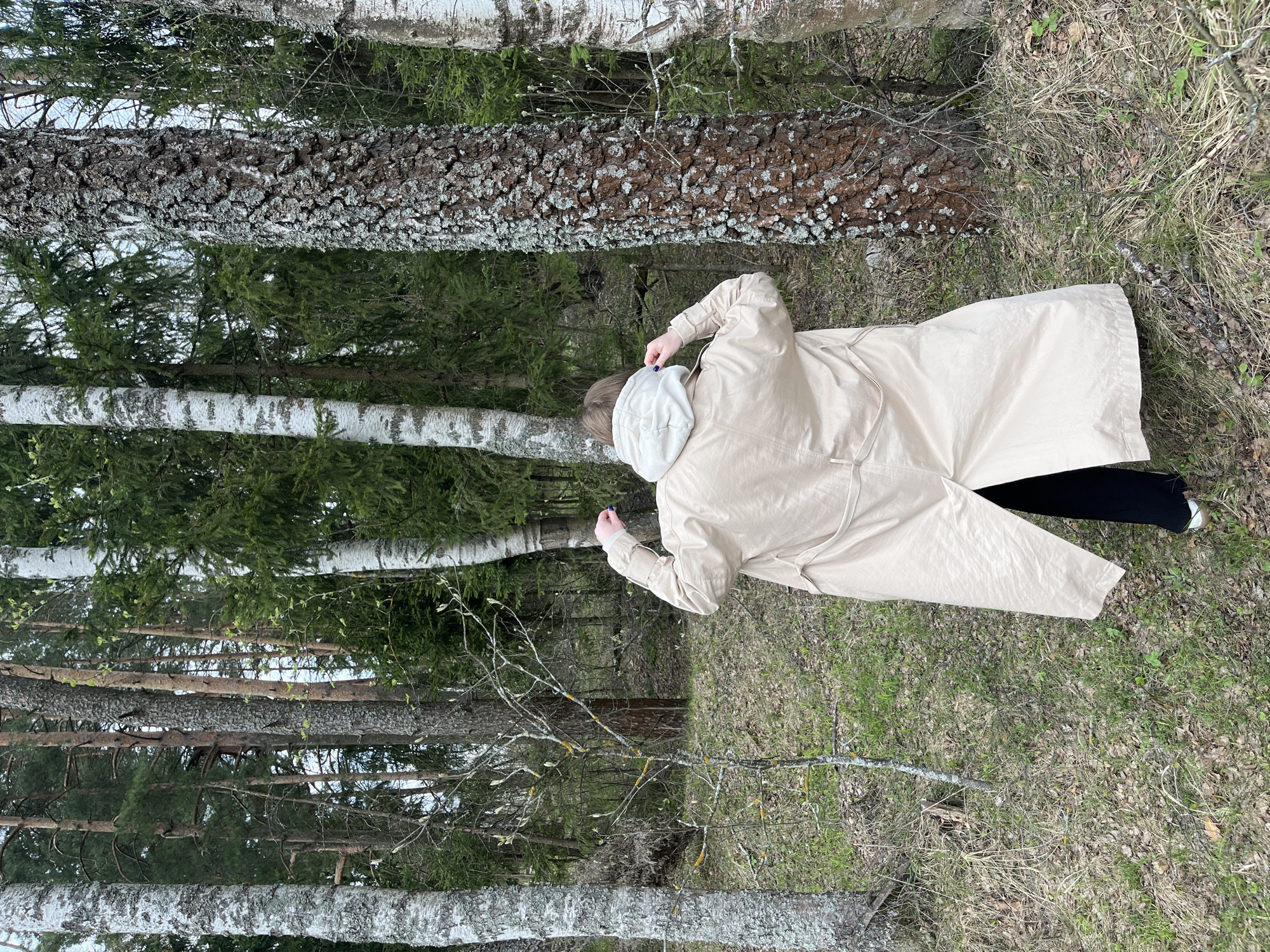 A woman in a tan coat and black pants stands in a forest in Раздолье, Russia. She is facing away from the camera and appears to be adjusting her hood. The environment is primarily composed of trees with light and dark bark, surrounded by grass and forest floor debris.