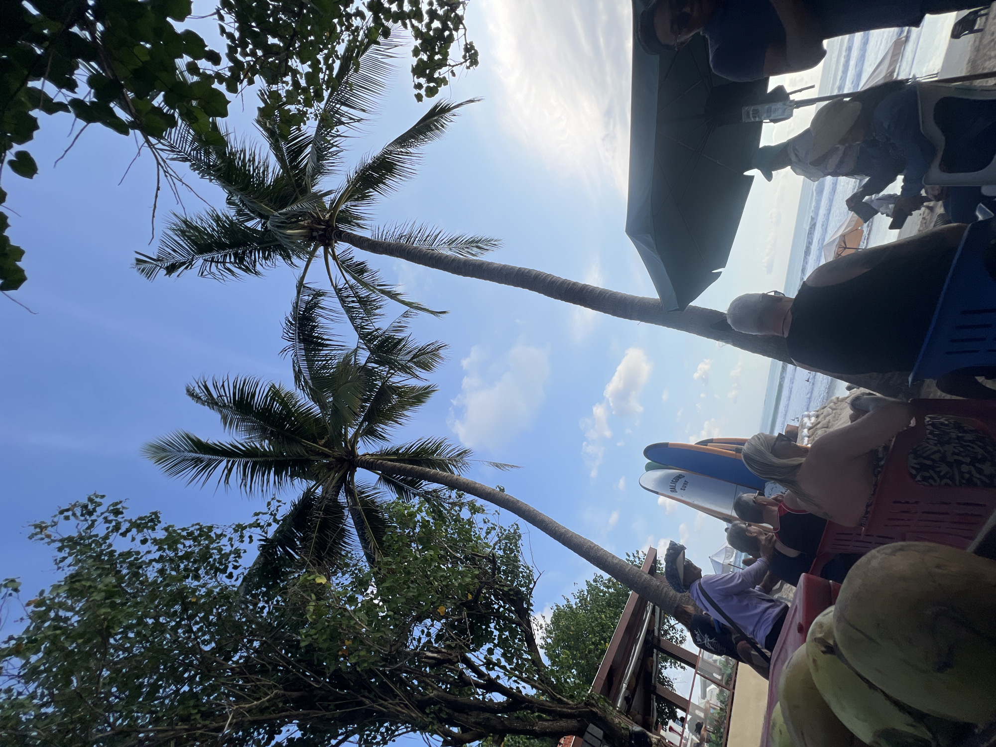 The image depicts a beach scene in Kuta, Indonesia. In the foreground, a display of coconuts is visible on the left. Behind the coconuts, several people are seated, appearing to be patrons at an outdoor establishment. Two surfboards stand upright on the sand. In the mid-ground, a beach umbrella provides shade for some of the seated individuals. Beyond them, the ocean with moderate waves is visible, suggesting a surfing location. Two tall palm trees frame the scene, with their fronds extending into the clear blue sky dotted with scattered clouds. The overall ambiance is that of a relaxed beachside setting.