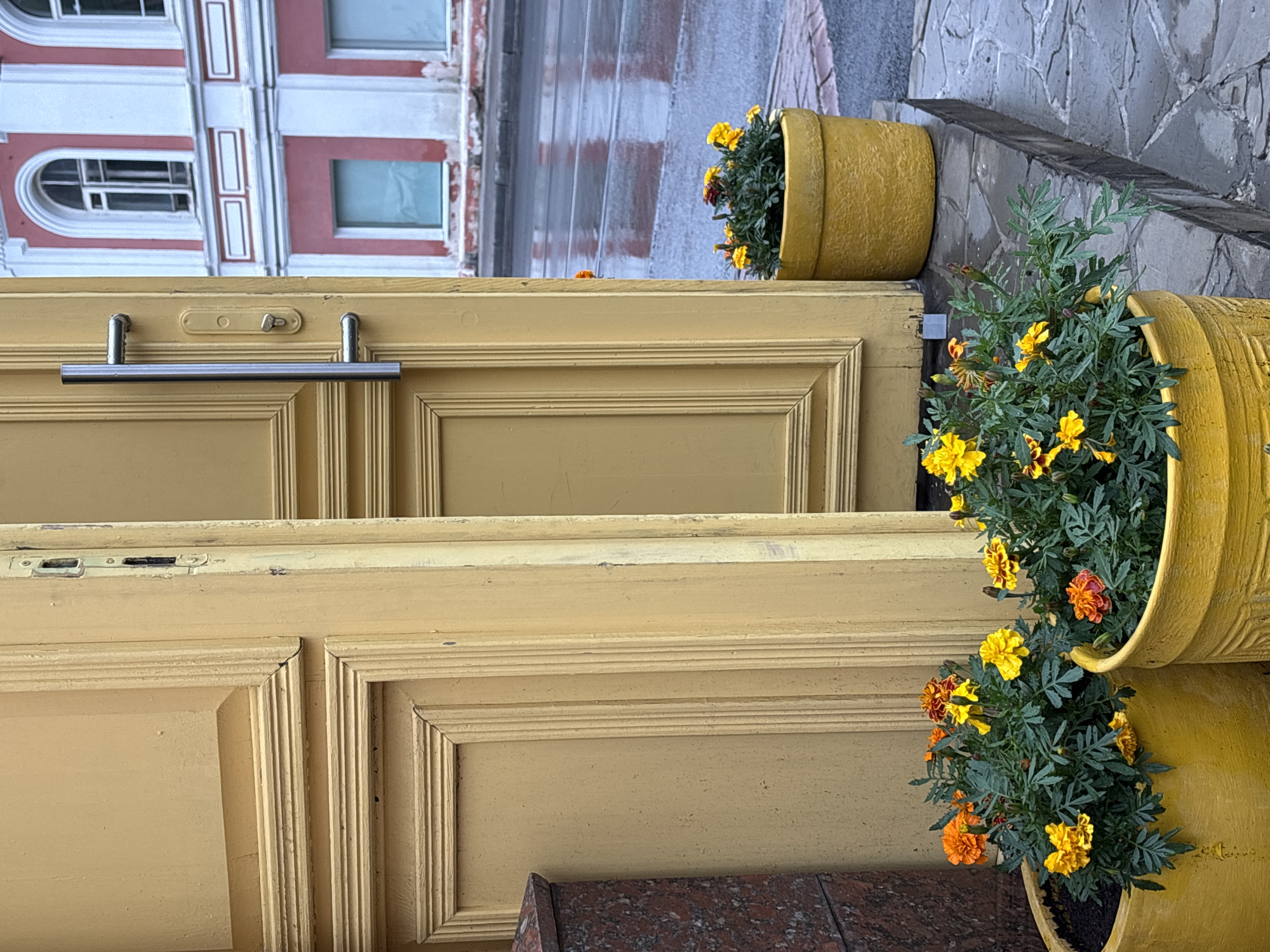 This image depicts an outdoor scene with a prominent yellow double door, one leaf of which is ajar. The door is ornately paneled, suggesting an older architectural style. To the left of the door, a portion of a dark, speckled stone structure is visible. In front of the open doorway and slightly to the right, there are two large yellow planters filled with vibrant orange and yellow marigolds.
The background reveals a wet street and a building with classical architectural elements, featuring arched windows framed in white and red. The wetness of the street and the muted colors suggest it may have recently rained or is raining. The street appears to be a city street, likely in a historic district. The presence of the building and the street indicates an urban environment. The image captures a moment of everyday life, with the flowers adding a splash of color to the otherwise overcast and potentially damp urban setting. The specific location in Nizhny Novgorod, Russia, is not discernible from the visual information provided in the image itself.