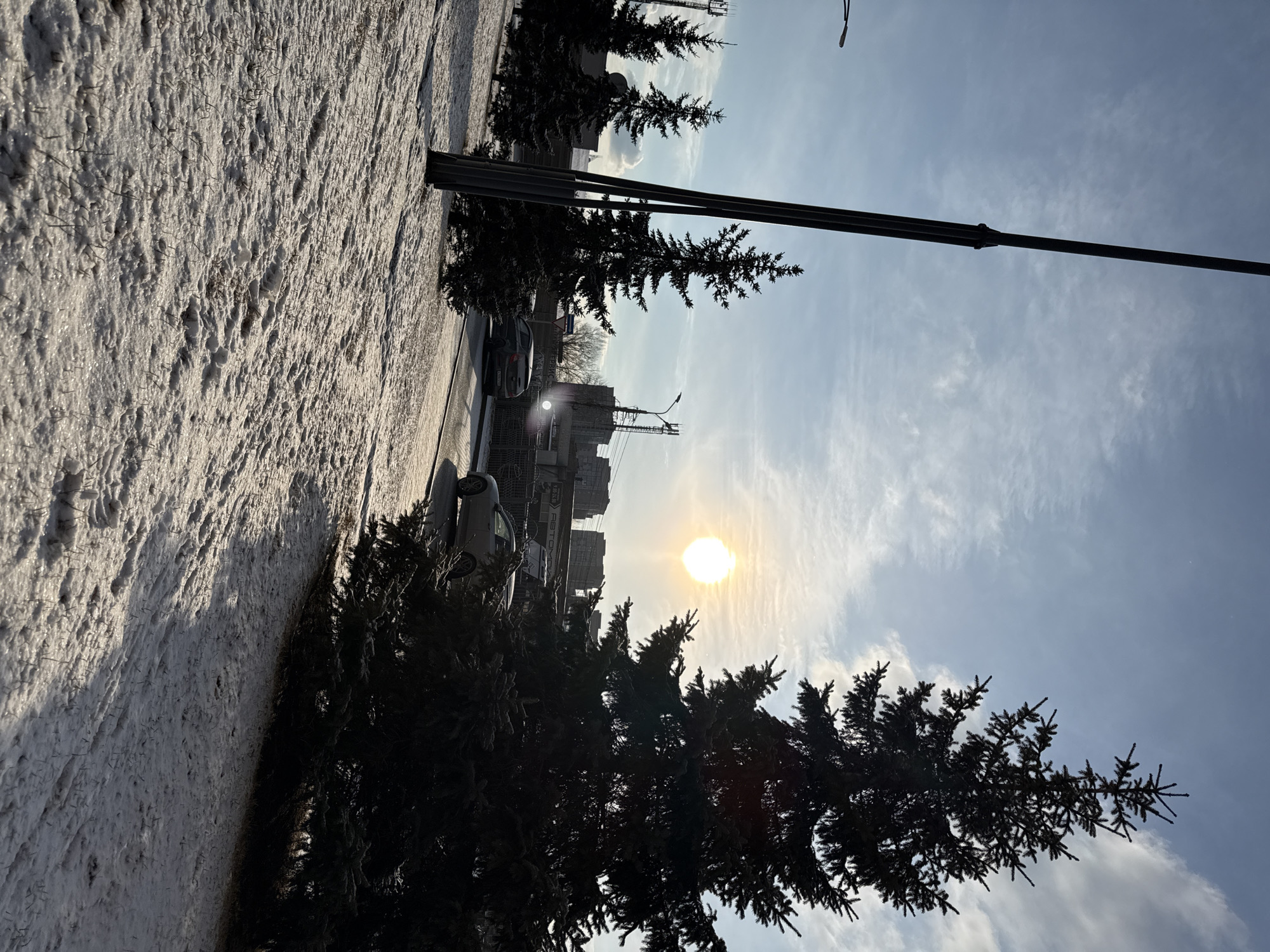 The image shows a snowy street scene. A snow-covered area borders the street. Several evergreen trees are present, silhouetted against the bright sun in the sky. A lamppost extends upward. A few cars are parked along the street. In the background, there are buildings, including what appears to be a construction site with a crane. Given the context and the architectural style of the buildings, the location is likely in Krasnoyarsk, Russia.