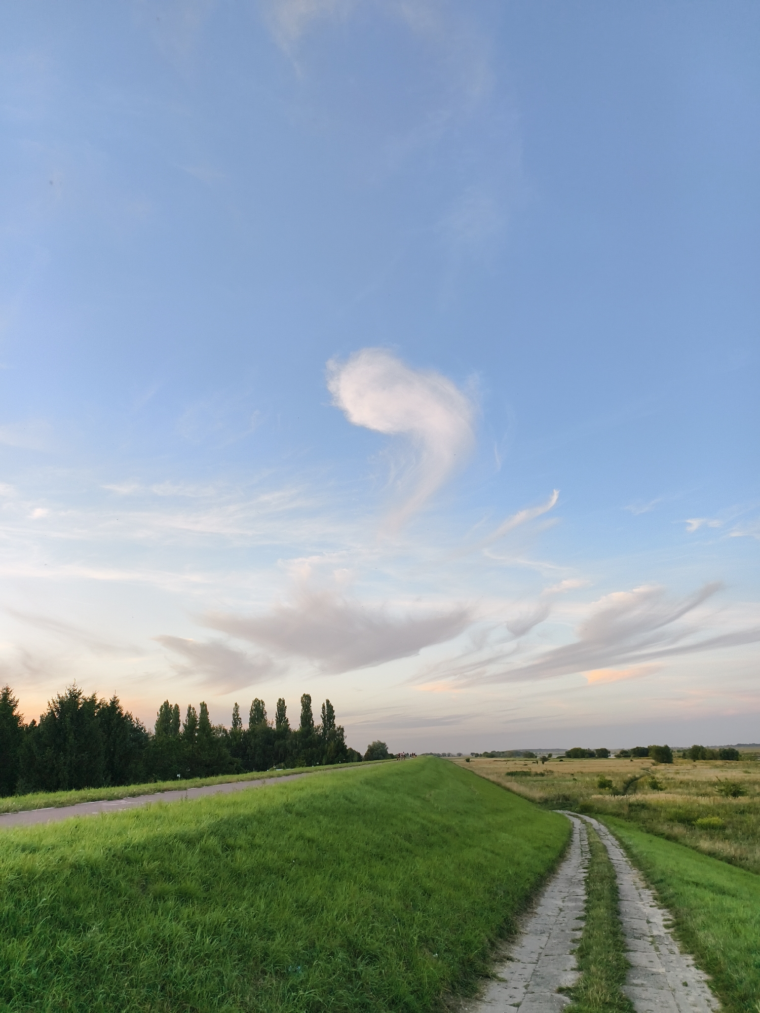 The image depicts a wide, grassy embankment with a paved path running along its crest. The embankment slopes steeply down to the left, covered in lush green grass, and to the right, leading to a wider, overgrown field. A two-track dirt road, made of concrete slabs, winds its way down the embankment's right side. In the distance, a line of tall, slender trees forms a distinct barrier, separating the embankment from a flat, open landscape of fields and scattered vegetation. The sky above is a pale blue, with wispy white clouds streaking across it. The overall impression is one of a rural or park-like setting, likely a levee or dike, in Tczew, Poland.