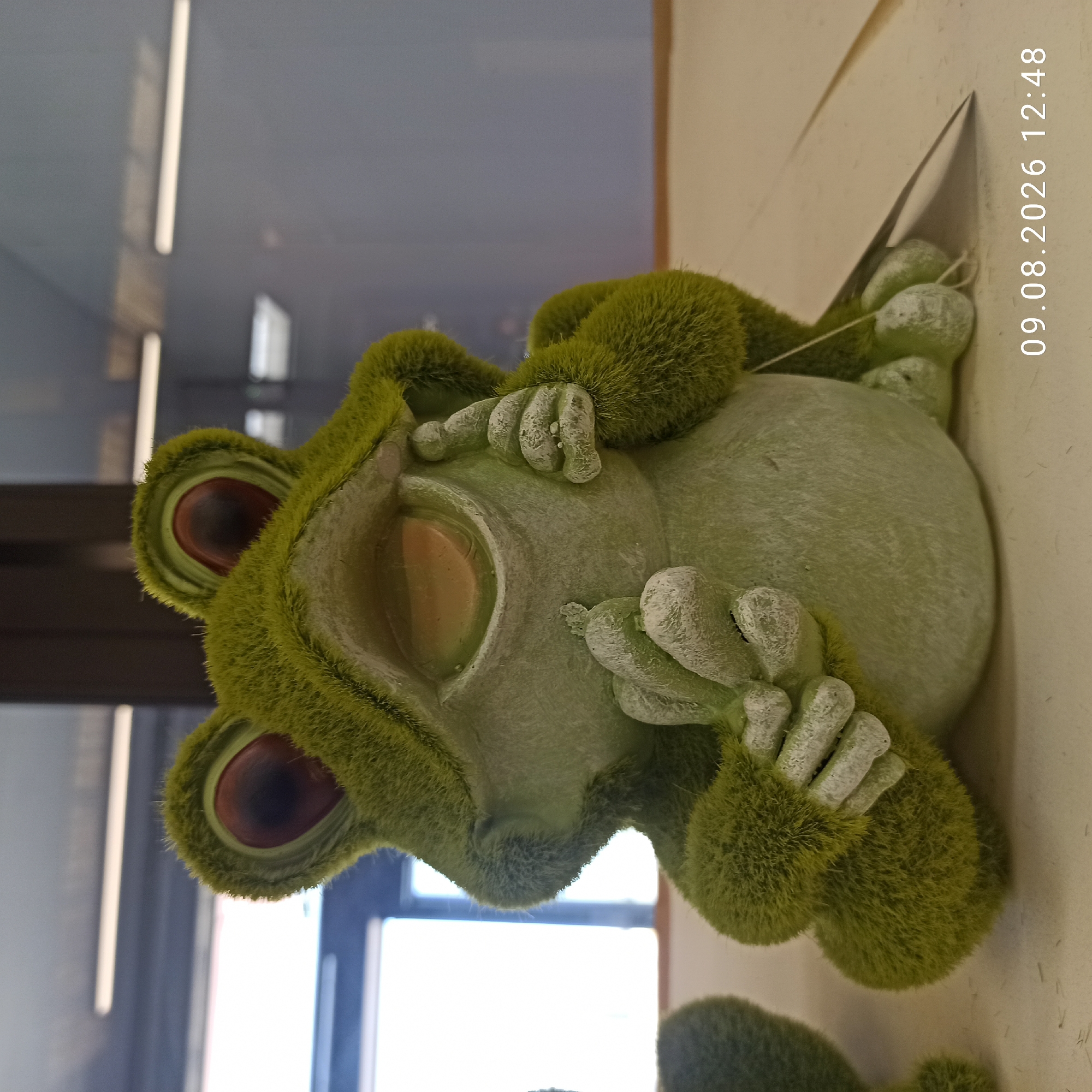 A close-up, eye-level shot shows a light green, fuzzy, frog-shaped figurine with its eyes closed. The figurine is positioned on a light-colored surface, possibly a table or shelf, with some loose fibers scattered around it. The background is blurred, but appears to be an indoor setting with reflections of fluorescent lights on a dark surface, suggesting a commercial or public space. To the right of the figurine, a timestamp "09.08.2026 12:48" is visible in white text, indicating the date and time the photograph was taken. The scene does not provide any visual information to infer its location within the city of Terlizzi, Italy.
