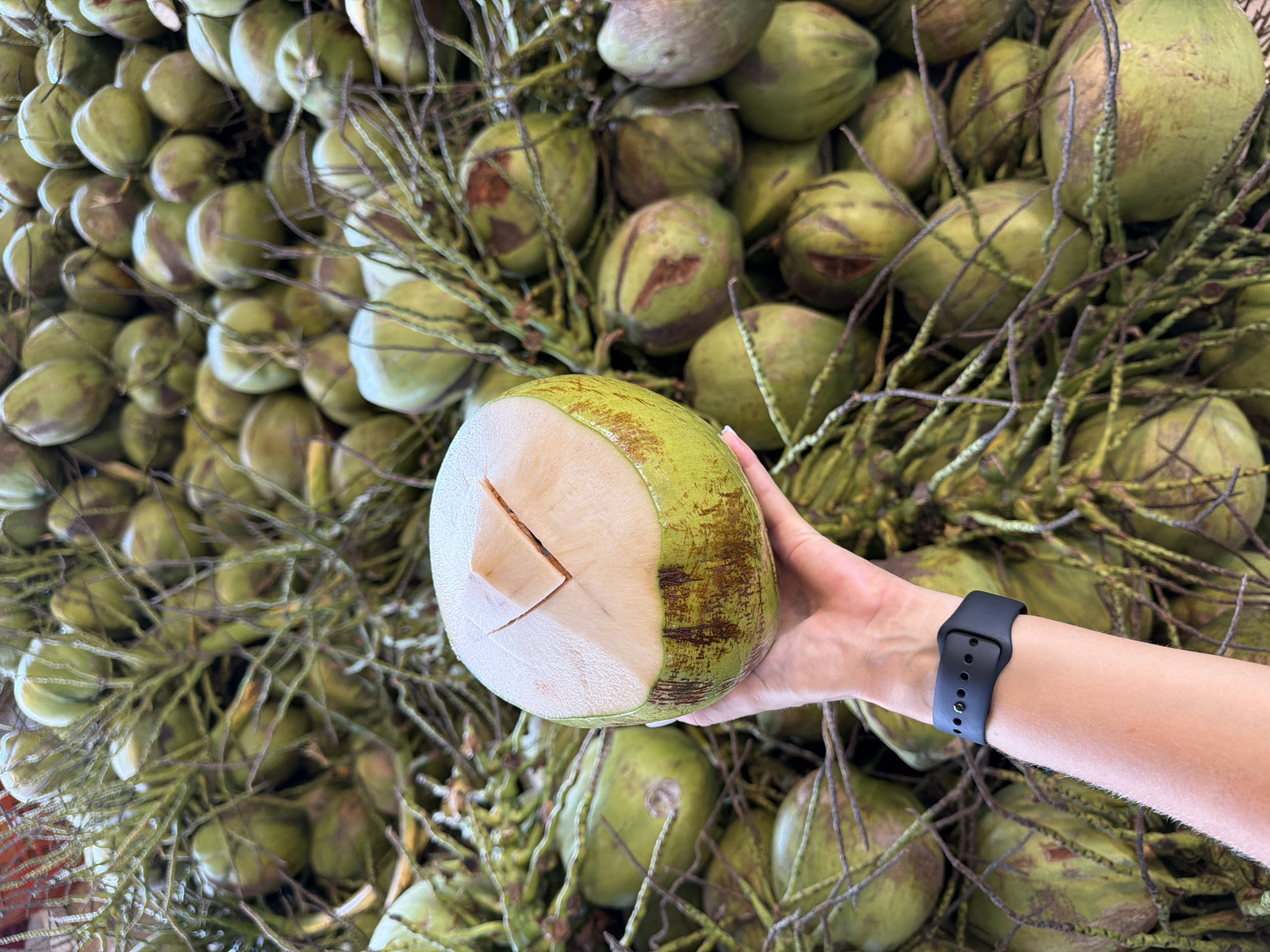 A high-angle shot shows a Caucasian arm and hand holding a young coconut with a square opening in the top. The arm has a black smartwatch on the wrist. The background is a large pile of young coconuts. The location is in Pattaya City, Thailand.