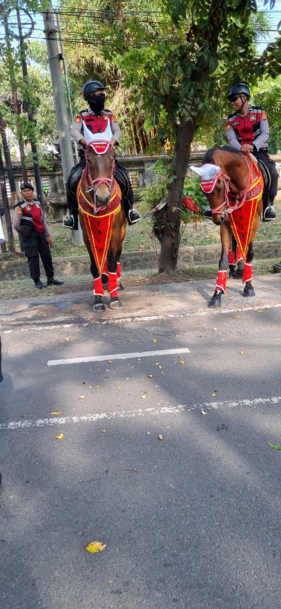 Two police officers on horseback are positioned on a paved road in Denpasar, Indonesia. The horse on the left is facing forward, while the horse on the right is facing slightly to the left. Both horses are adorned with red and yellow decorative coverings. One officer is wearing a black helmet and black face mask, and is seated on the horse. The other officer is wearing a black helmet and sunglasses, and is seated on the other horse. Both officers are in uniform, with red and white vests over grey shirts and black pants. A third police officer is standing on the left side of the image, to the left of the horses, looking towards the right. The officer is wearing a black beret, a red and white vest over a grey shirt, and black pants. The environment appears to be a city street with trees and foliage in the background. The road surface is asphalt with white lane markings. There are fallen leaves and debris on the road.
