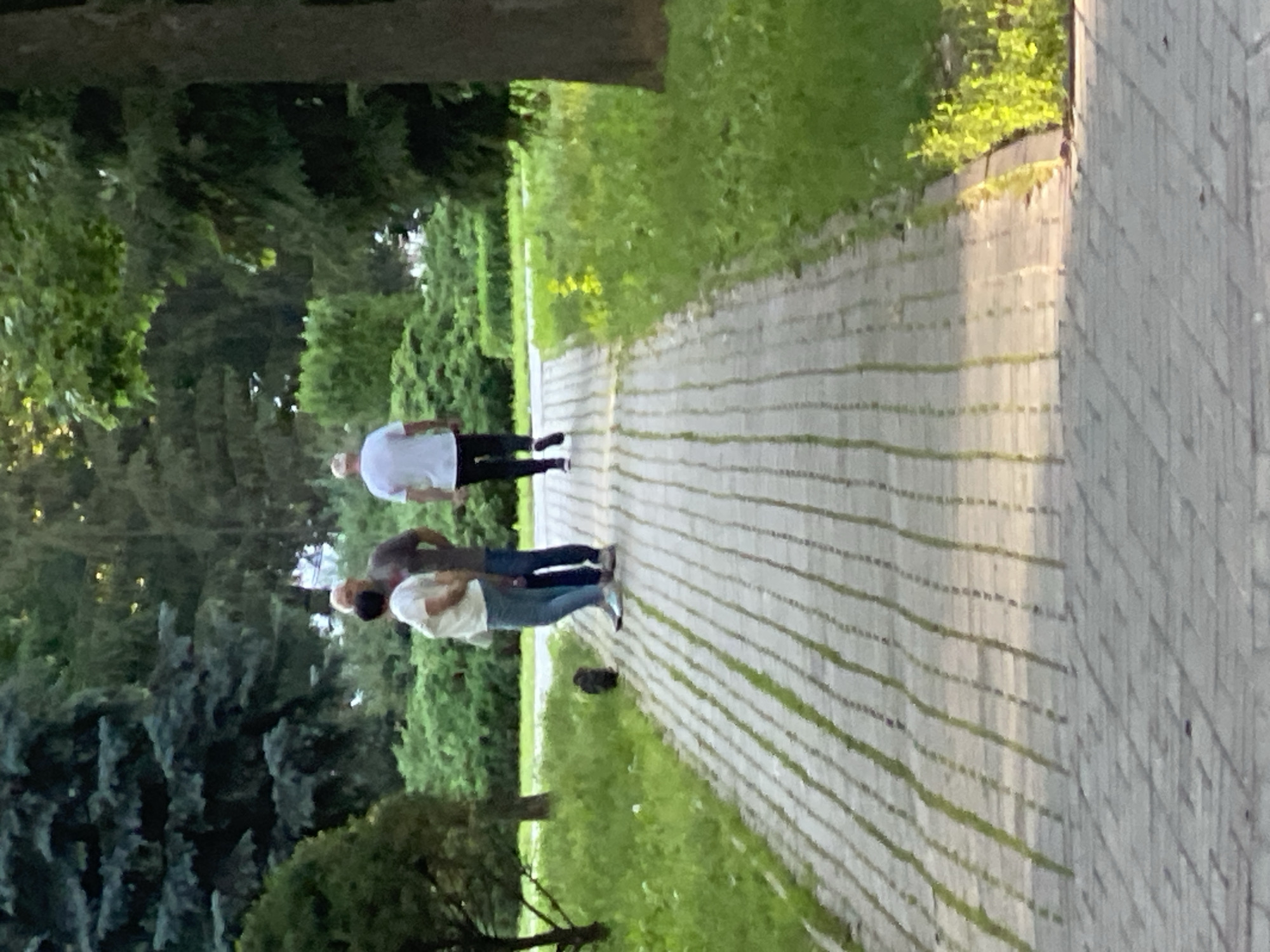 The image depicts a paved pathway in a park-like setting, likely in Poltava, Ukraine. Three individuals are visible on or near the path. Two individuals, appearing to be a man and a woman, stand conversing near the left side of the path. The woman is wearing a light-colored top and blue jeans, while the man is in a dark t-shirt and dark pants. Further down the path, a third individual, a man wearing a white t-shirt and dark pants, walks away from the camera. A dark-colored object, possibly a small dog or a pigeon, is on the grass to the left of the path, near the conversing couple. The path is made of light-colored rectangular pavers, with grass growing between them in places. Lush green trees and bushes form the background, with sunlight filtering through the foliage, creating dappled shadows on the path. The overall scene suggests a casual outdoor environment, possibly a park or botanical garden in Poltava.