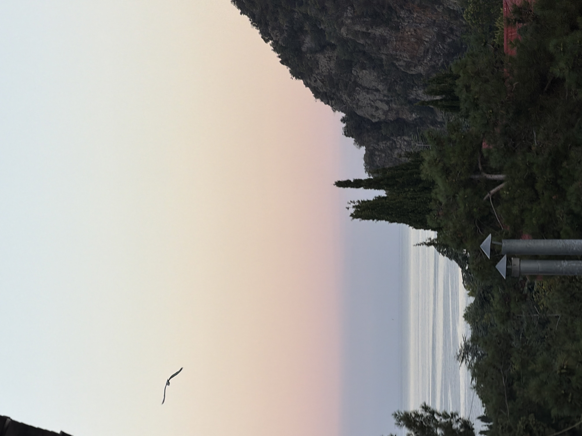 This image depicts a coastal landscape at dusk, likely in Partenit, Ukraine, given its characteristic Mediterranean vegetation and topography. The sky transitions from a pale yellow at the horizon to a soft pink and then a pale blue as it ascends. A lone bird is captured mid-flight against the soft hues of the sky. In the foreground, lush green trees, including what appear to be cypress and pine trees, dominate the view. Two cylindrical chimney pipes with conical caps are visible amongst the foliage, suggesting a residential or architectural element. Beyond the trees, the calm sea stretches out, reflecting the muted tones of the twilight sky. A rugged, tree-covered mountainside rises dramatically on the right side of the frame, its rocky texture and dense vegetation characteristic of the Crimean coast. The overall scene conveys a sense of tranquility and natural beauty during the transition from day to night.