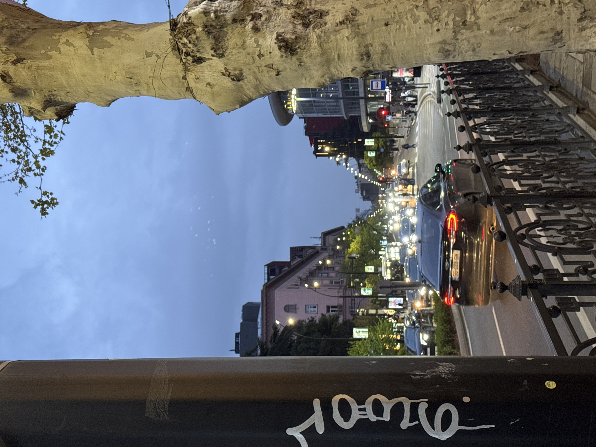 The image captures a vibrant street scene in Tbilisi, Georgia, during dusk or early evening, viewed from an elevated perspective. The frame is distinctly bordered by a thick, gnarled tree branch with peeling bark across the top, and a dark, possibly metal, railing or beam in the immediate foreground at the bottom. Small green leaves hang from the tree branch on the left.
The street below is bustling with traffic, as numerous cars are visible with their headlights and taillights illuminated, casting streaks of light. A dark-colored car with prominent red taillights and a license plate reading "HB-600-EH" is seen in the foreground on the right, alongside an ornate black metal fence or railing. Pedestrians can be observed on the sidewalks, particularly on the right side of the street. A red traffic light and a blue rectangular informational sign are also visible on the right.
The street is lined with various multi-story buildings, some with distinctive architecture, such as a pinkish-brown structure with pitched roofs and multiple windows towards the left. The scene is well-lit by numerous streetlights and decorative string lights that extend down the thoroughfare, creating a warm glow against the fading blue sky. Crosswalk markings are visible on the asphalt.
On the dark railing in the bottom foreground, there is white graffiti in a stylized script, appearing to be Georgian characters, possibly "როდიო". The overall atmosphere is one of lively urban activity as the day transitions to night.
